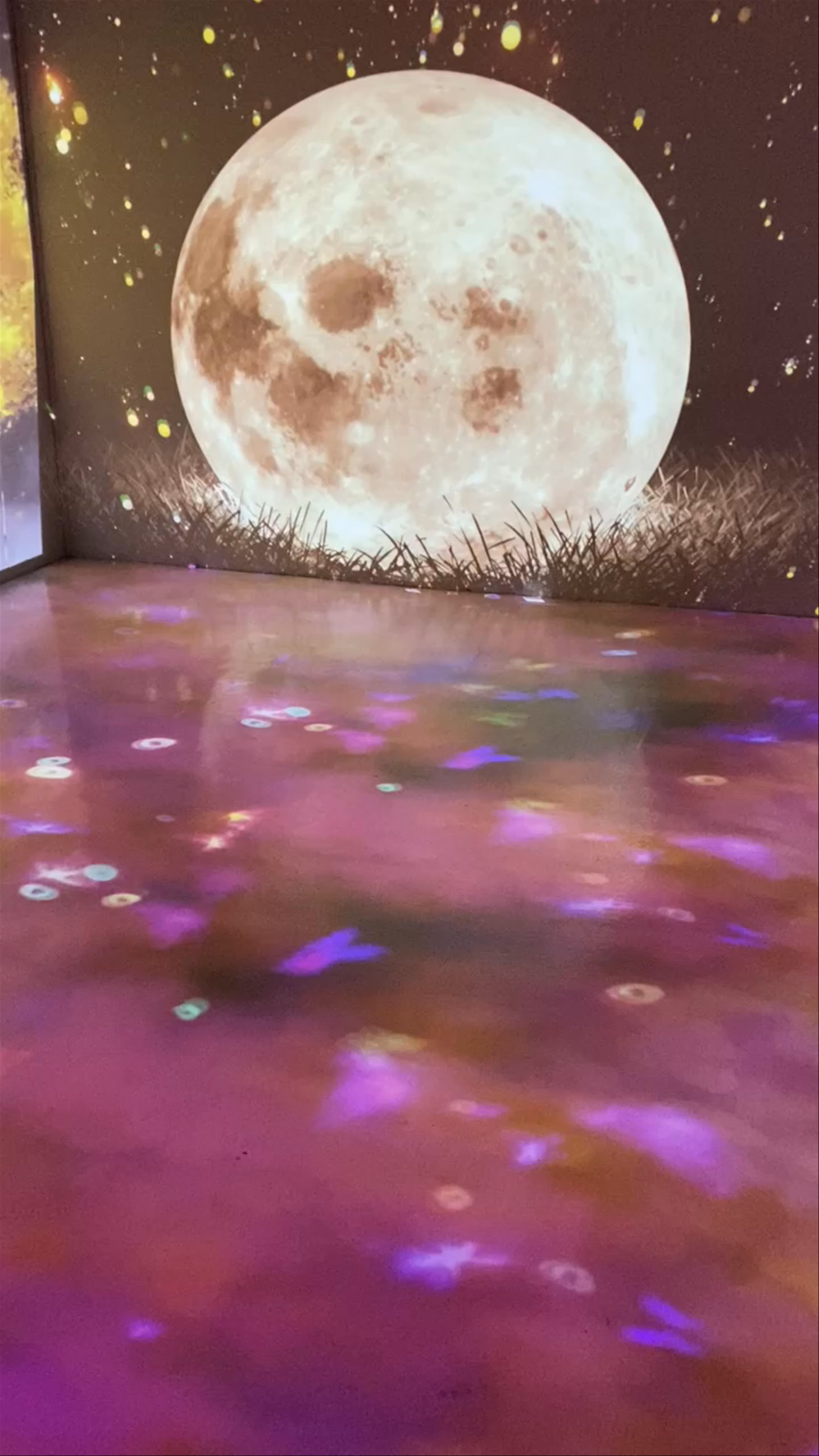 Immersive Digital Art Experience at Museum of Dream Space Los Angeles