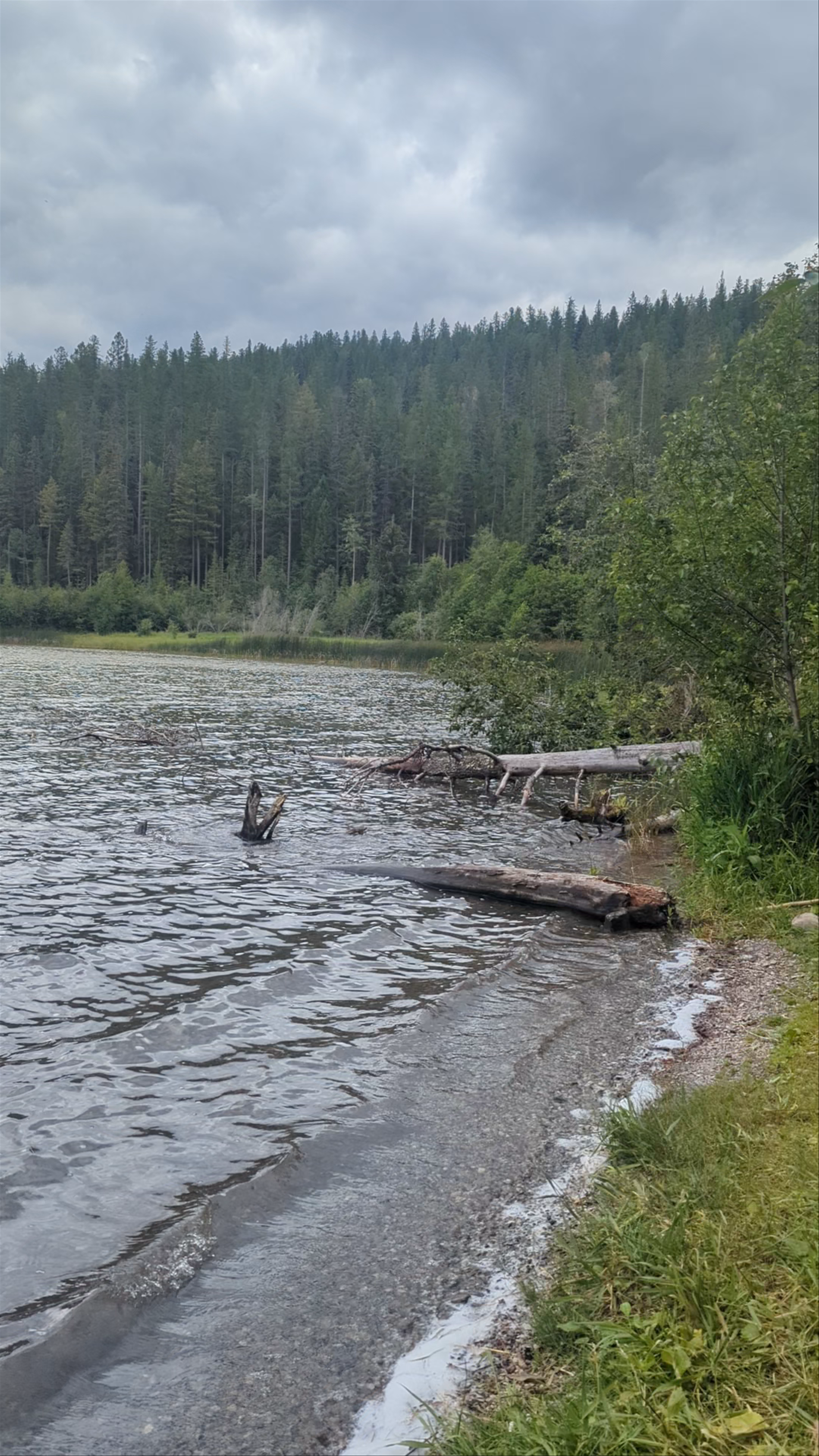 Whiteswan Lake Provincial Park