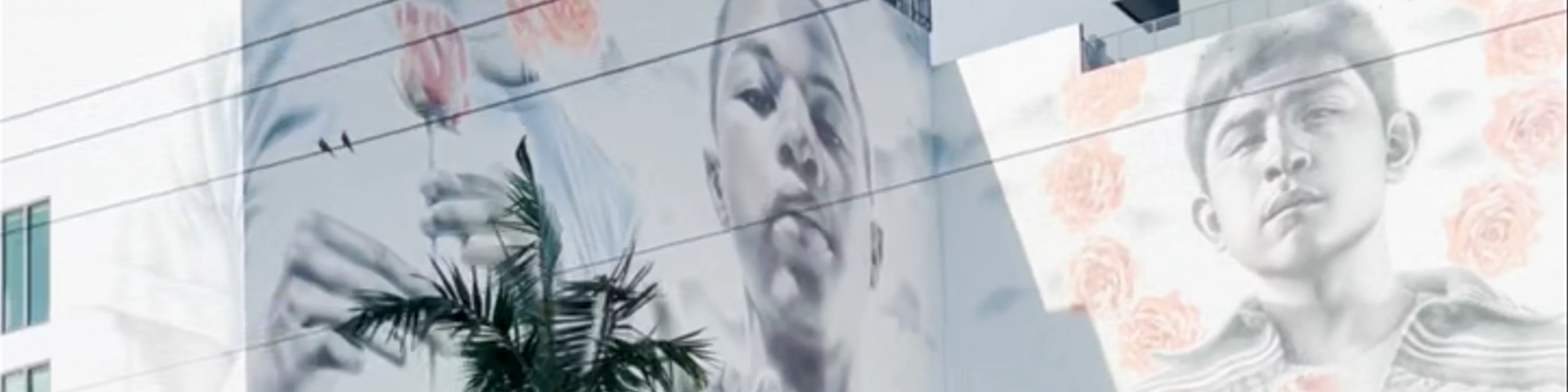 Wynwood Buggies