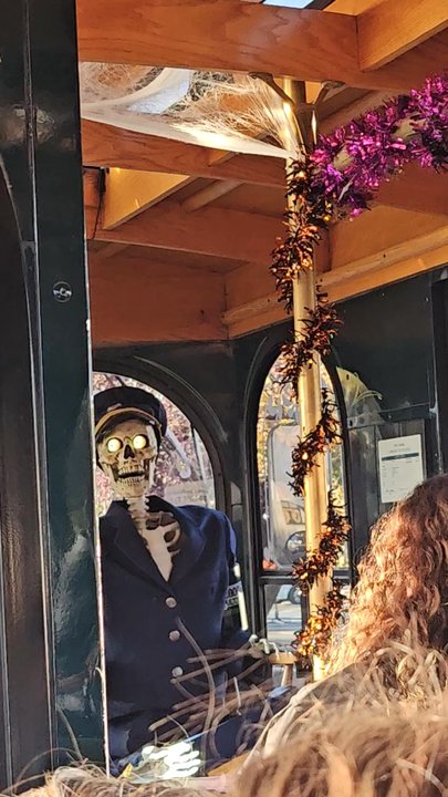 Boise Trolley Tours - Tours Near Me - Boise, Idaho