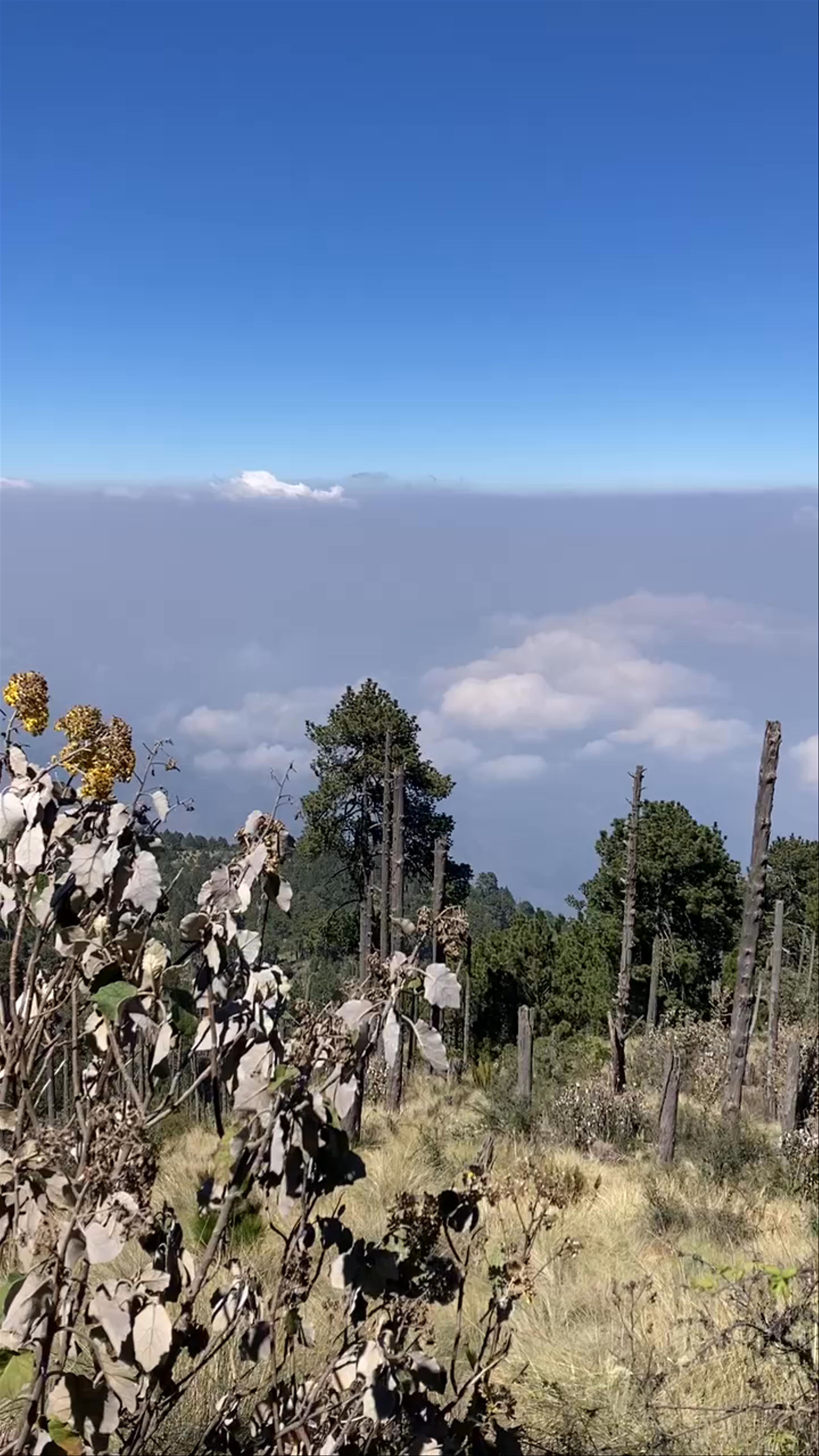 Acatenango Volcano Trailhead