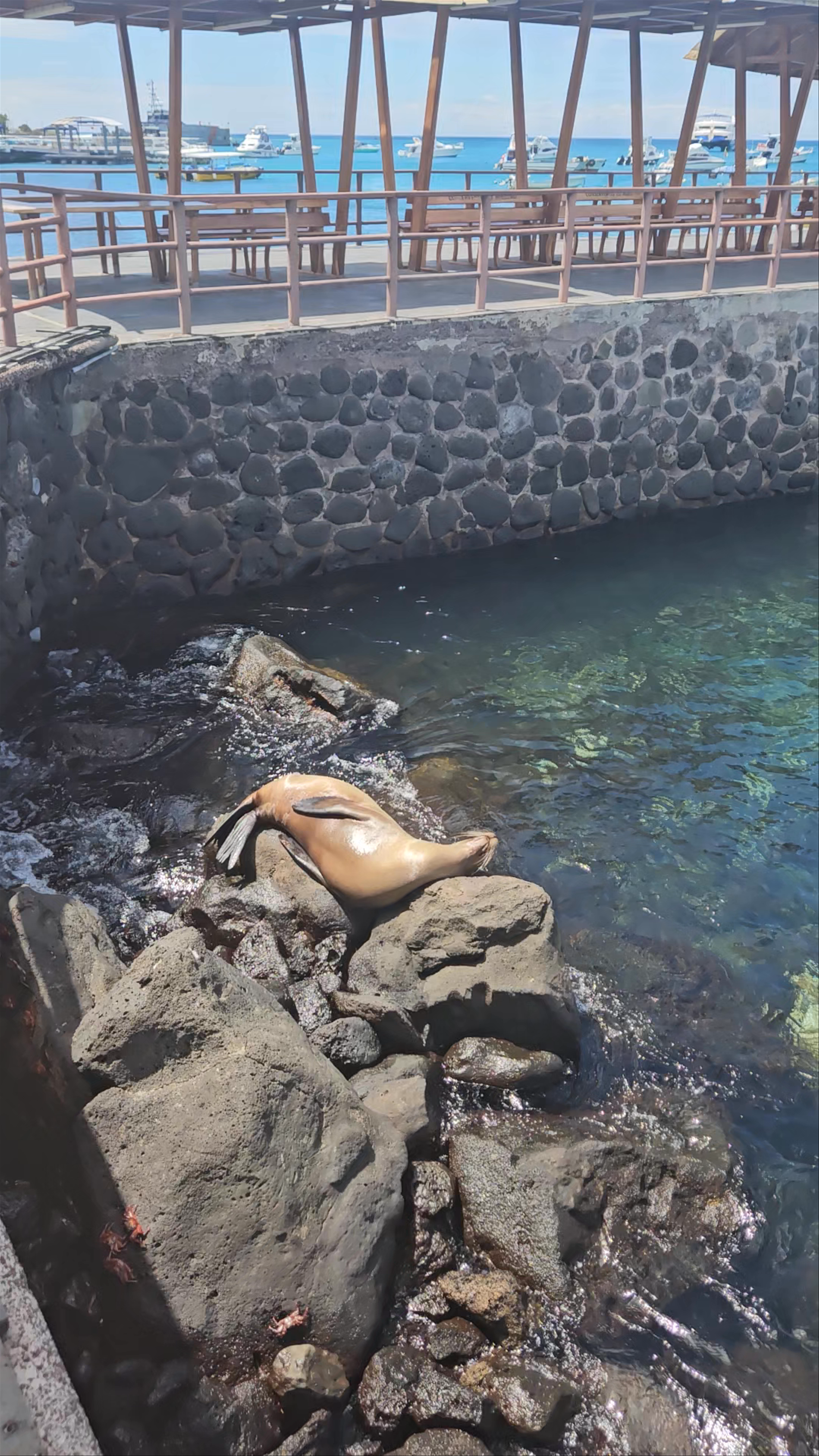 San Cristobal Main Dock