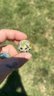 Small image 0