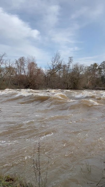 William B Pond Recreation Area - American River is roarin' - Parks Near Me - Carmichael, California