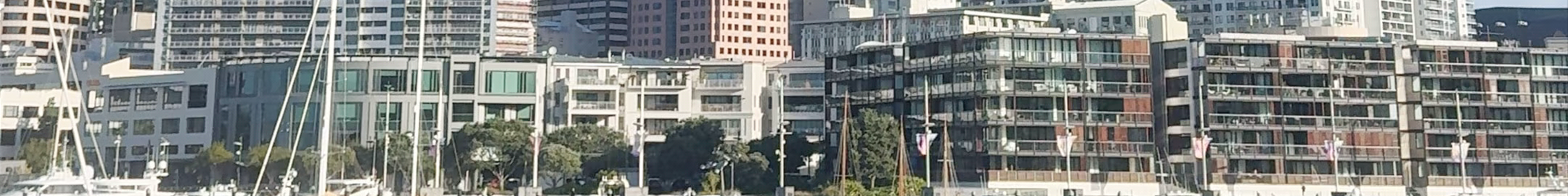 Tours & experiences in New Zealand