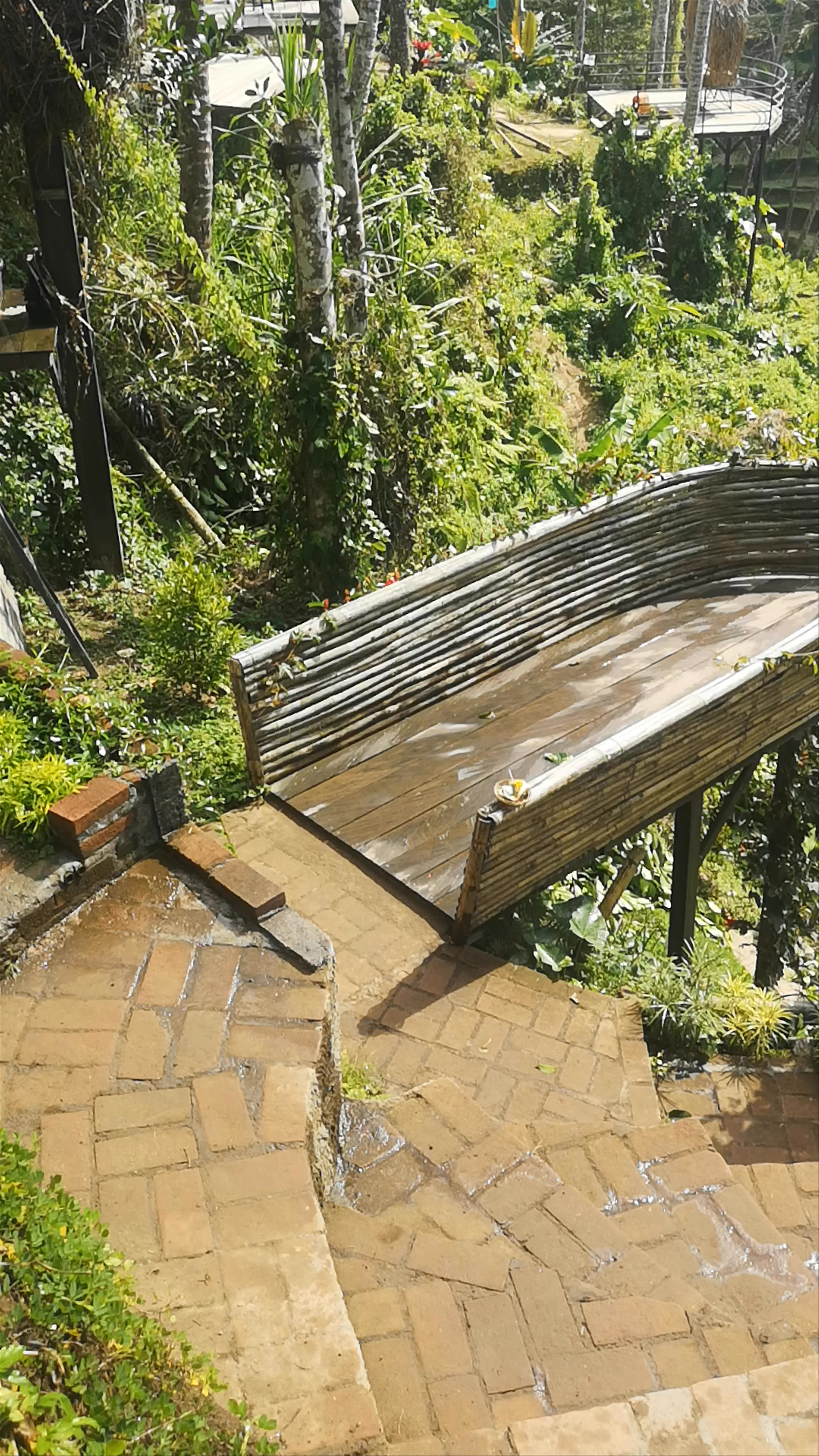 Tegallalang Rice Terrace