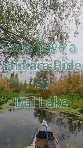 Photo of A small virtual Shik