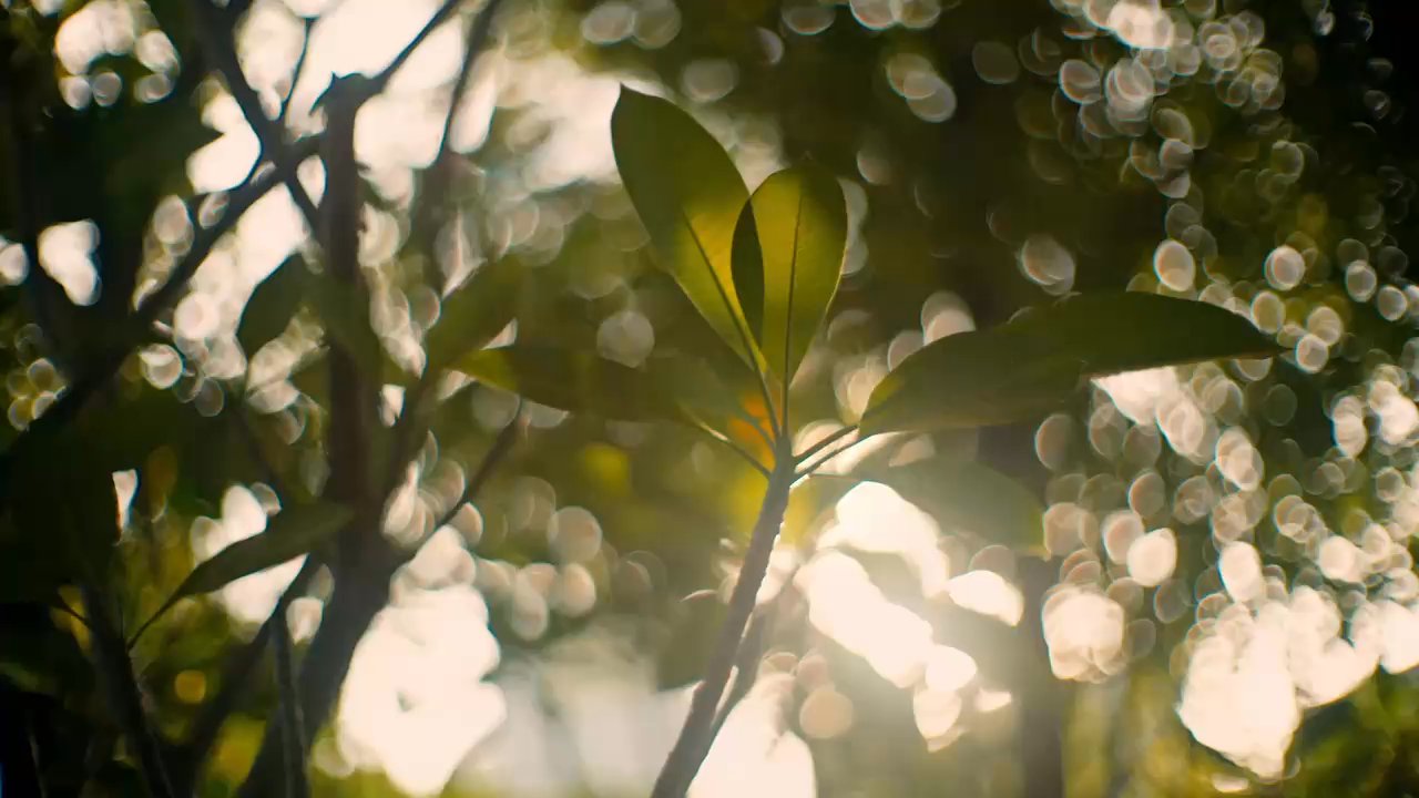 5 Bed Condo for Sale in  Skye at Holland - Image 10