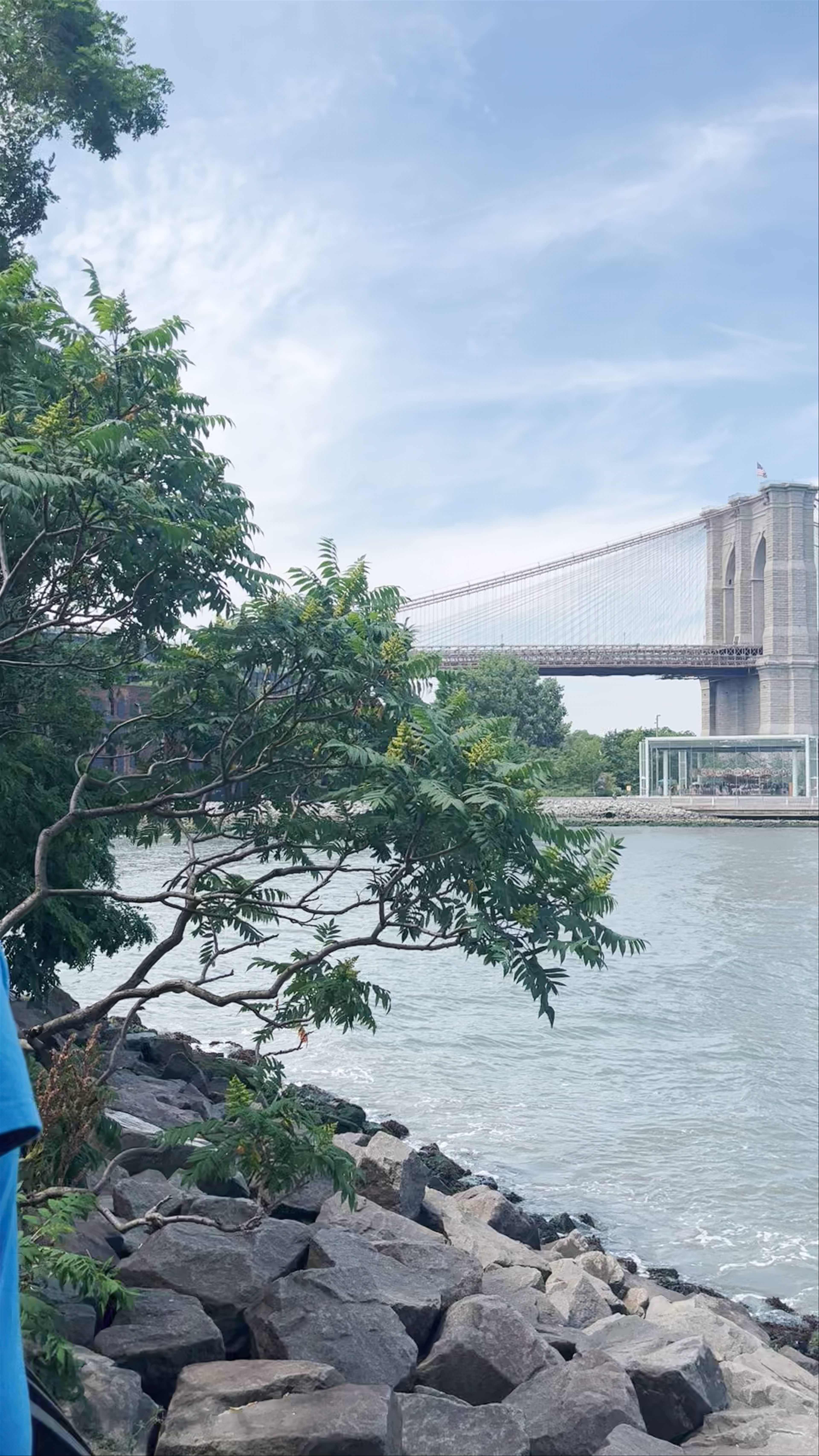 Serene Brooklyn Waterfront with Iconic Brooklyn Bridge Views