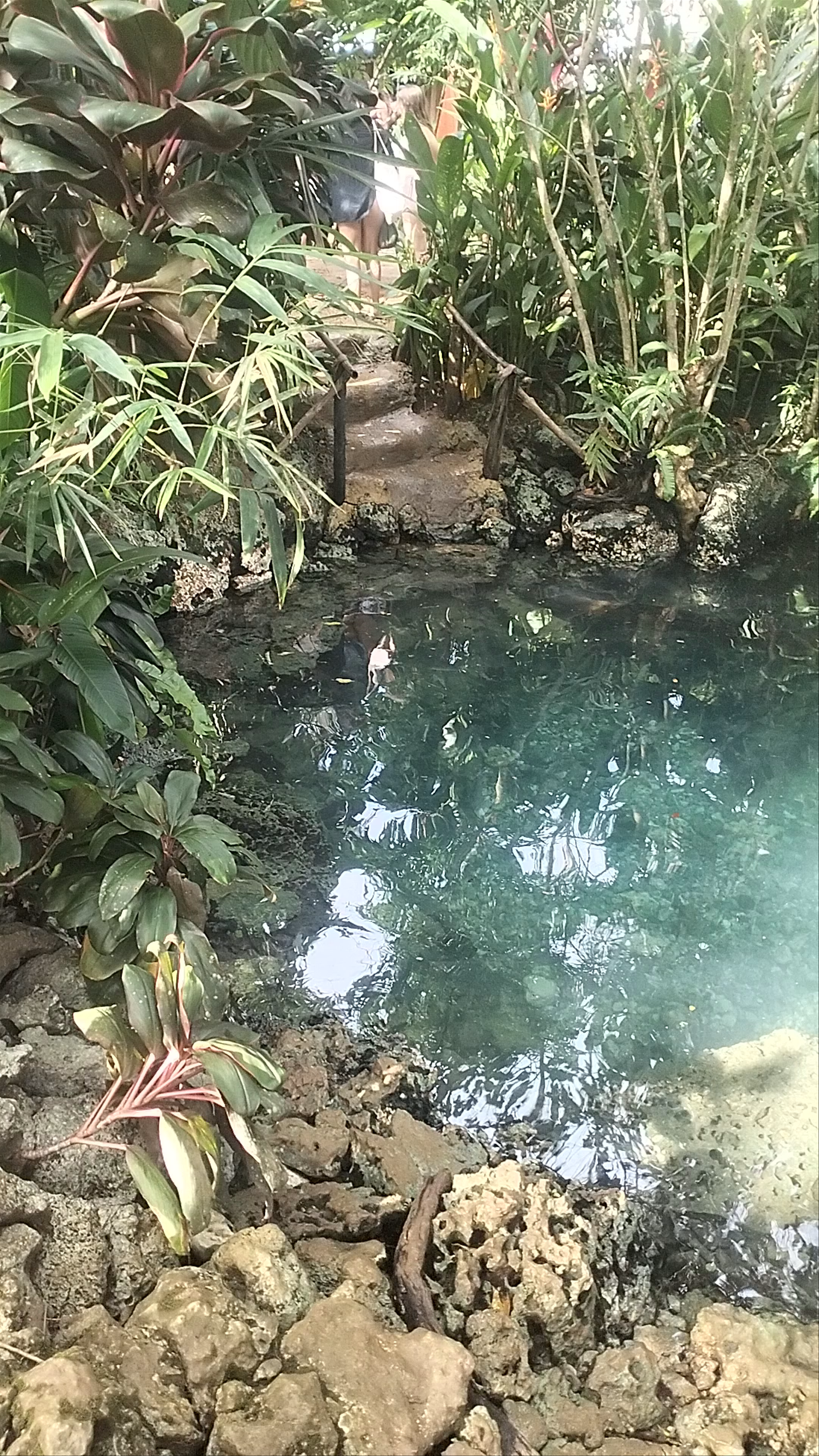 Secret Lagoon Escape: Nature's Hidden Gem in Surigao del Norte, Philippines