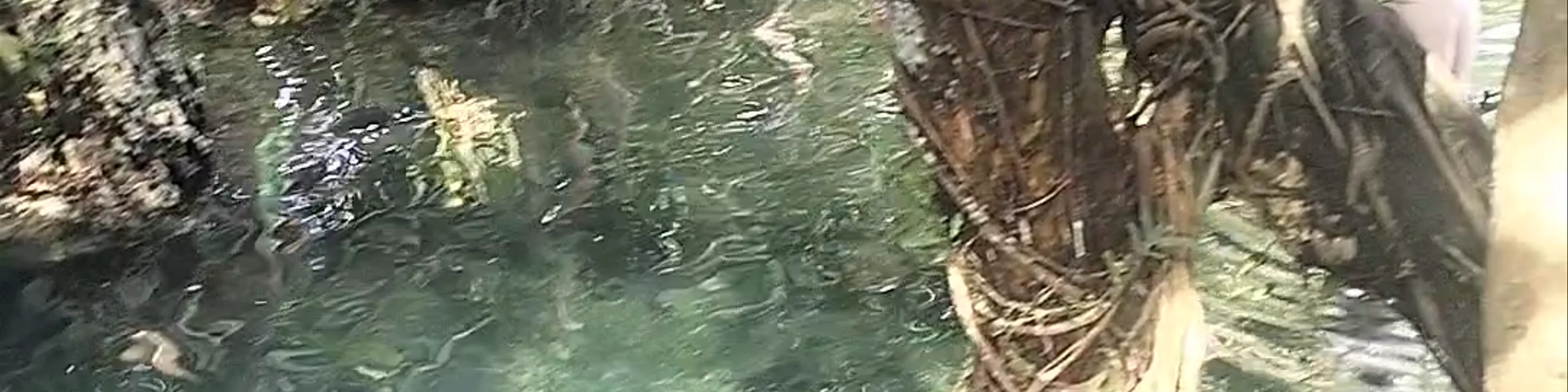 Secret lagoon