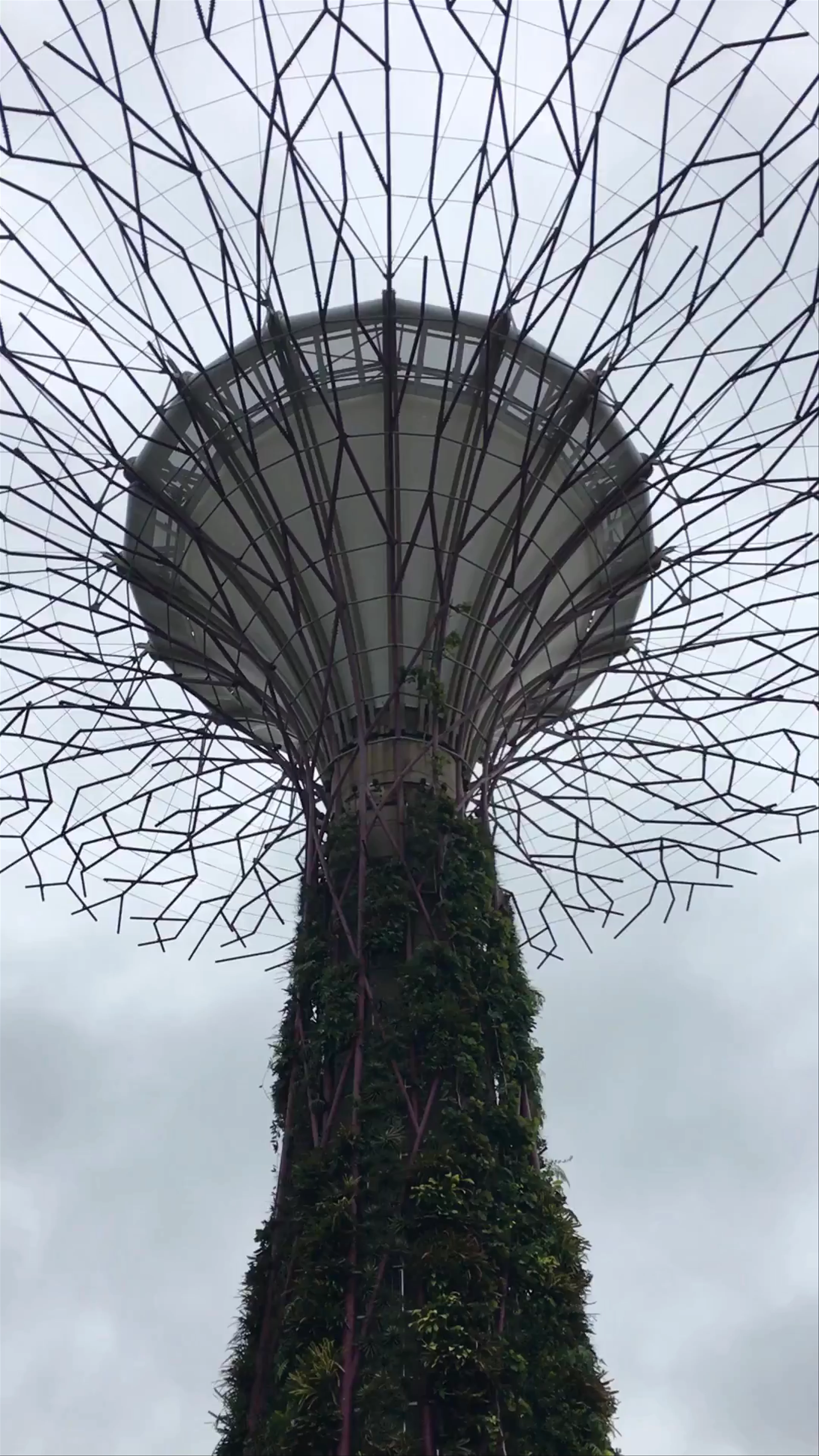 Marina Gardens Drive, Gardens by the Bay