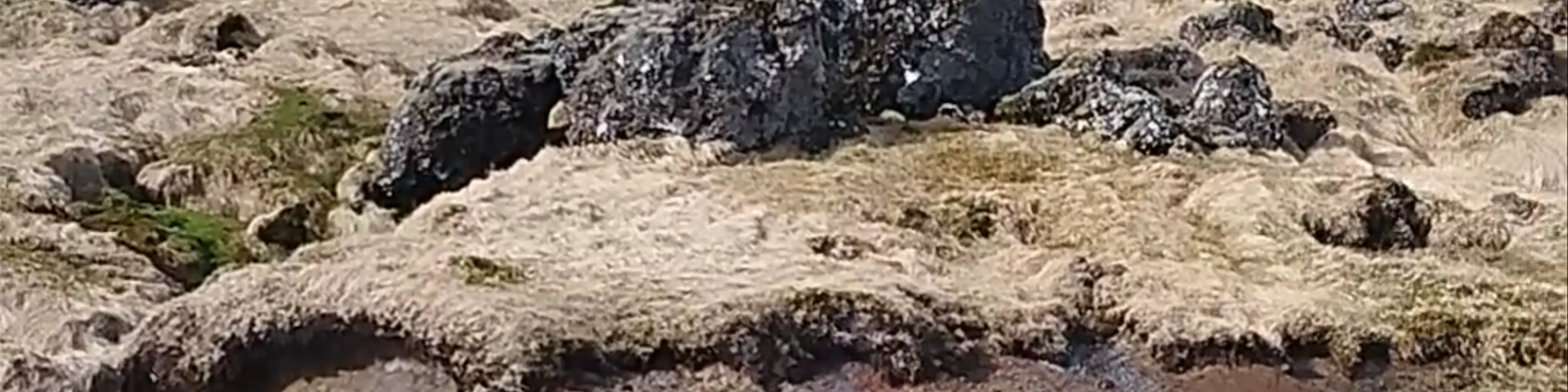 Reykjadalur Valley