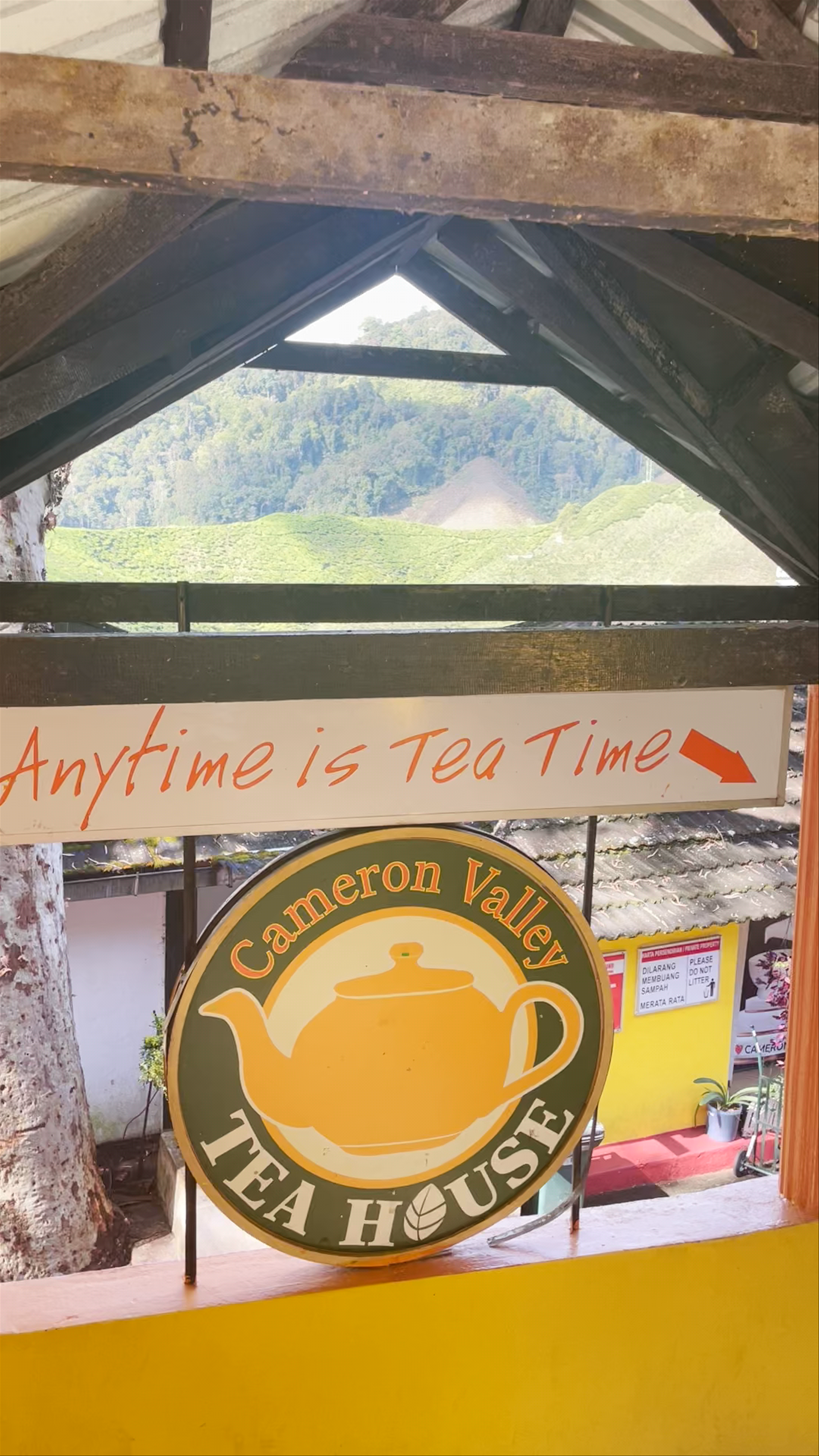 Cameron Valley Tea House 2