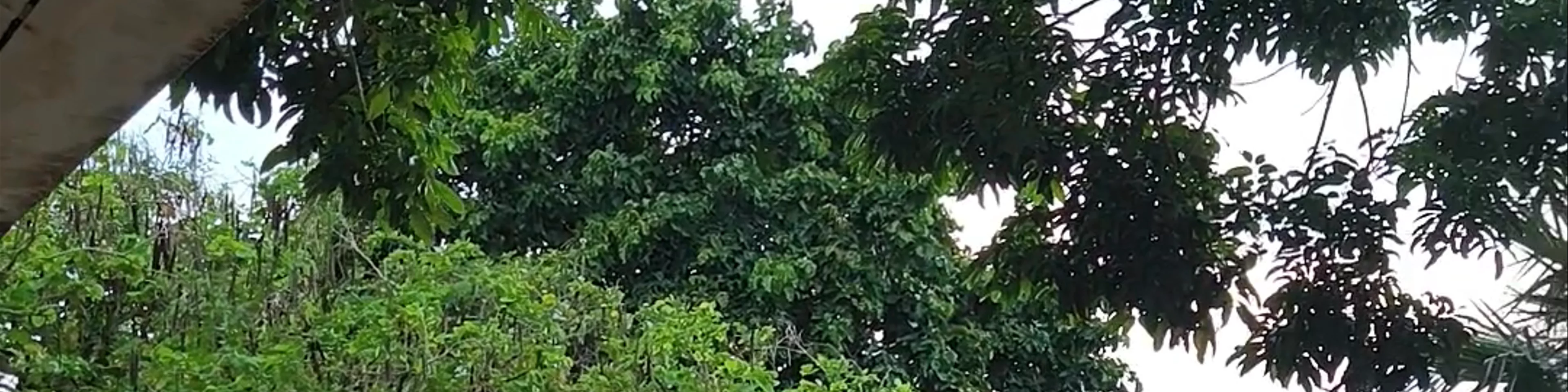 Karon Viewpoint
