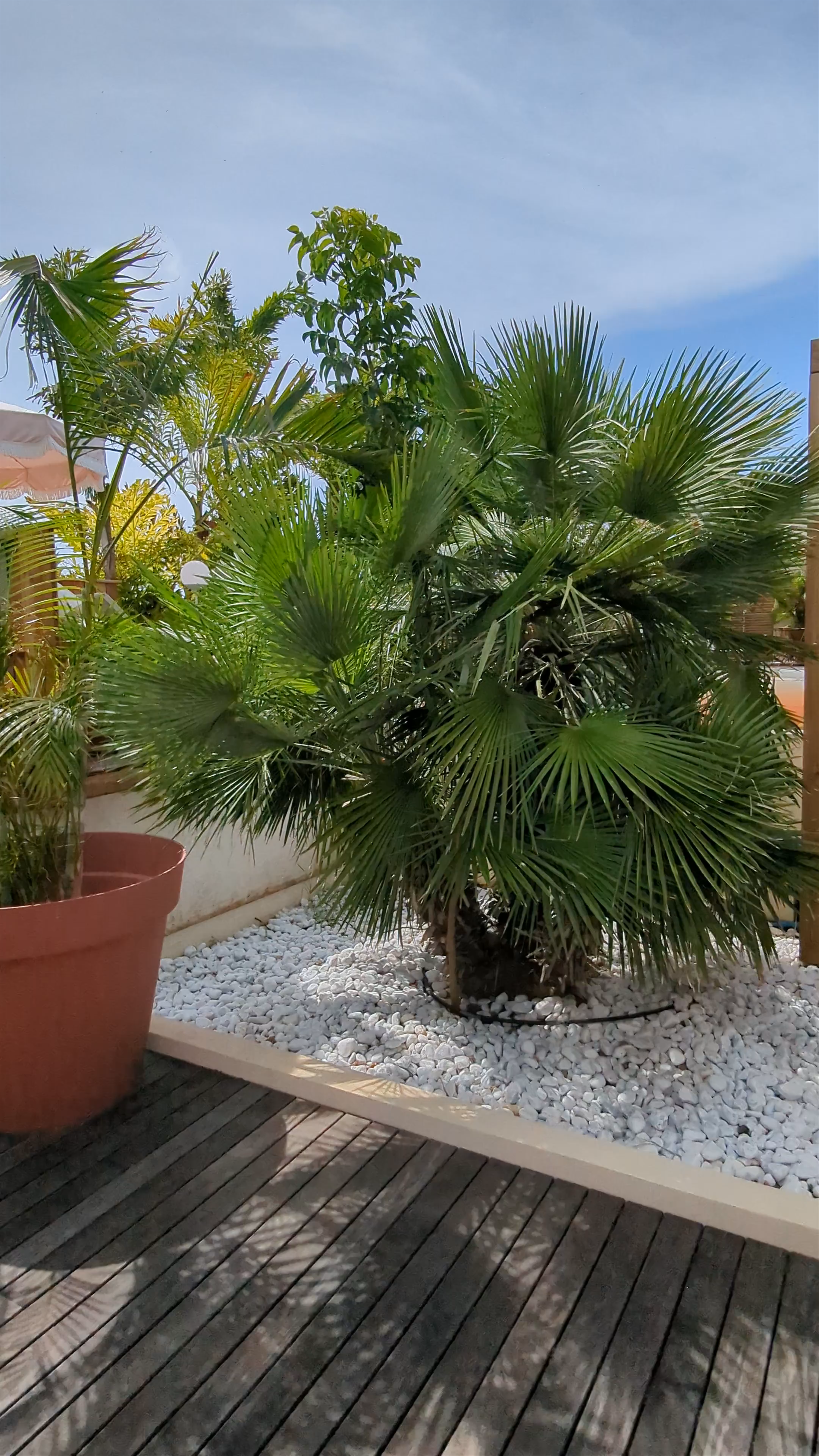 LE MARTIN BOUTIQUE HÔTEL