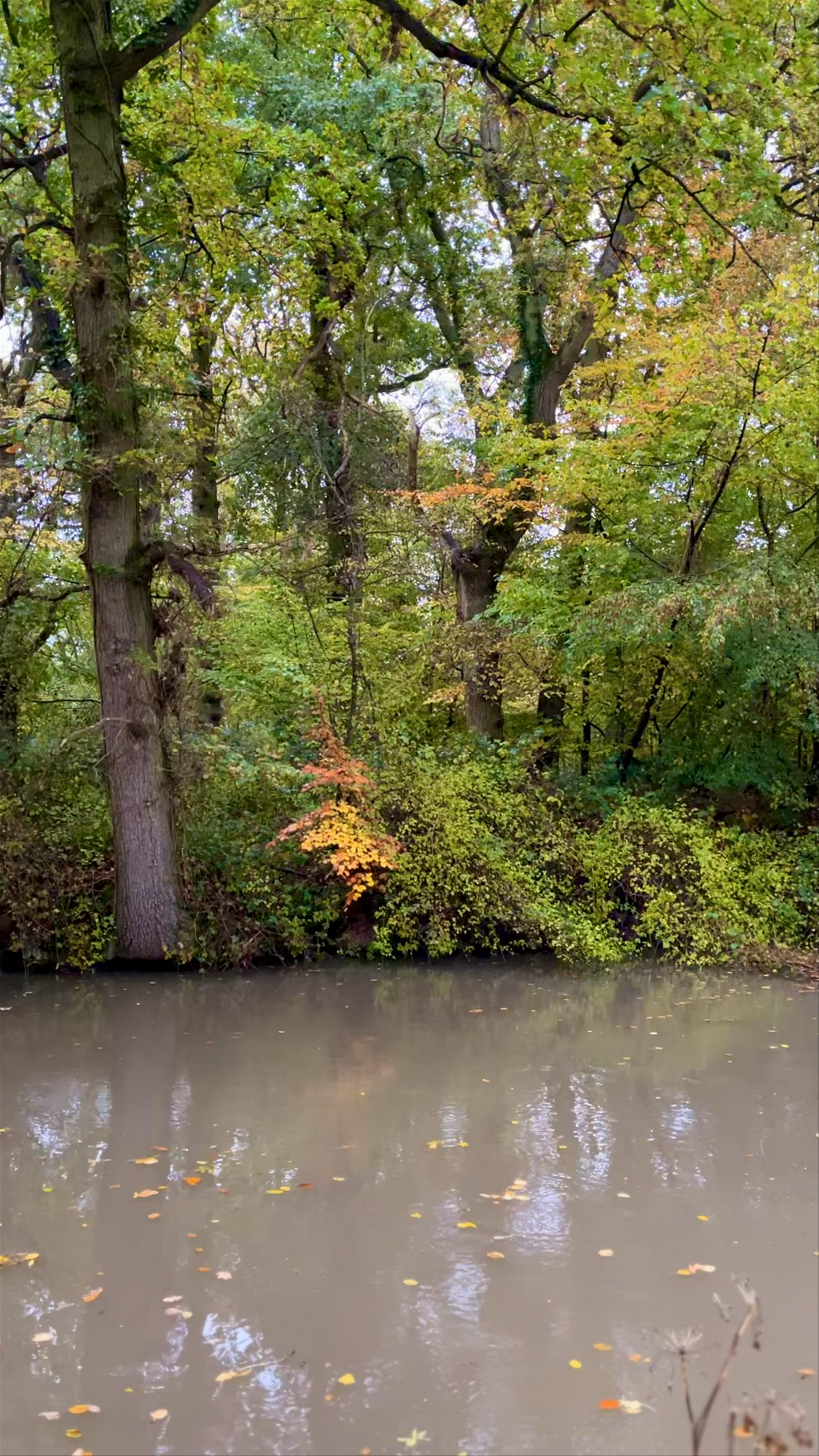 Oxford canal
