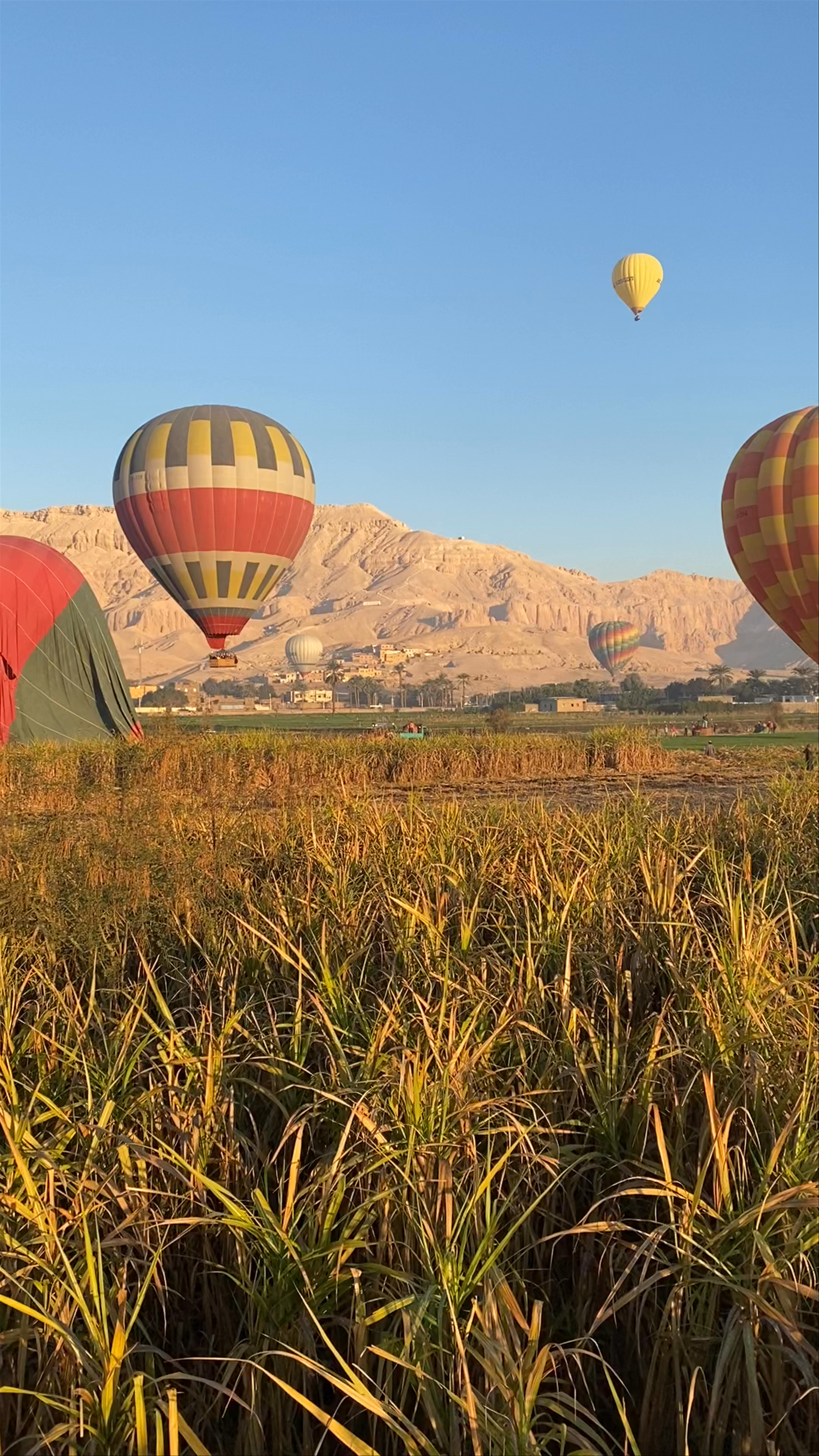 Hot air balloon Luxor Take Off Site