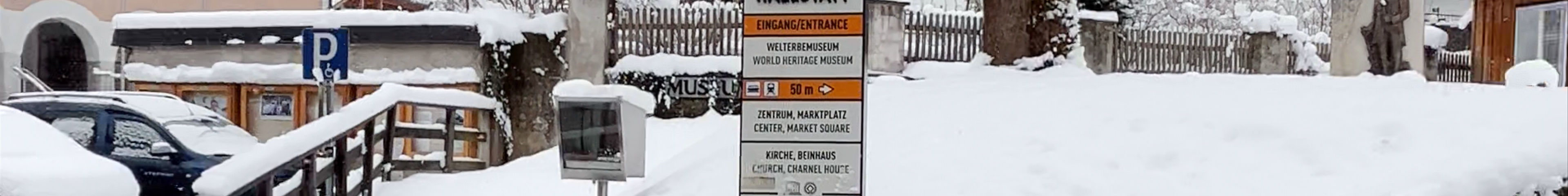 Tours & experiences in Hallstatt