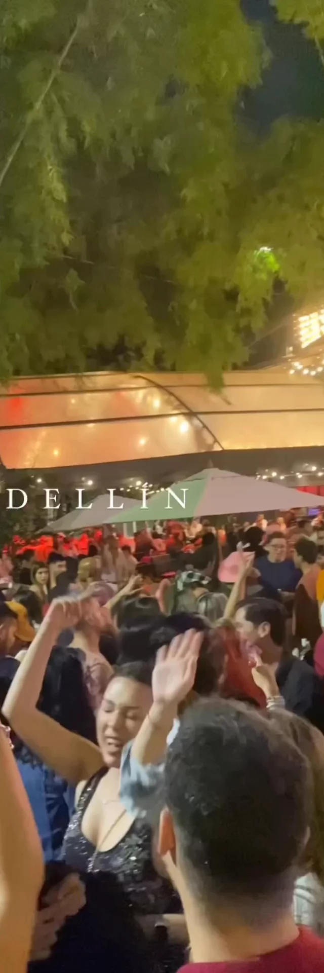 Contenido del creador