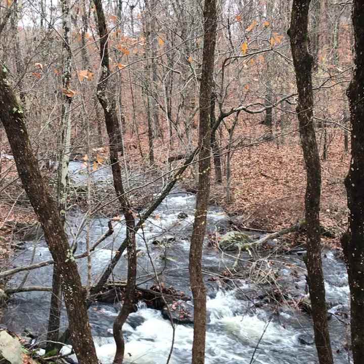 Echo Valley Cottages - Roaring stream - Hotels Near Me - East Stroudsburg, Pennsylvania