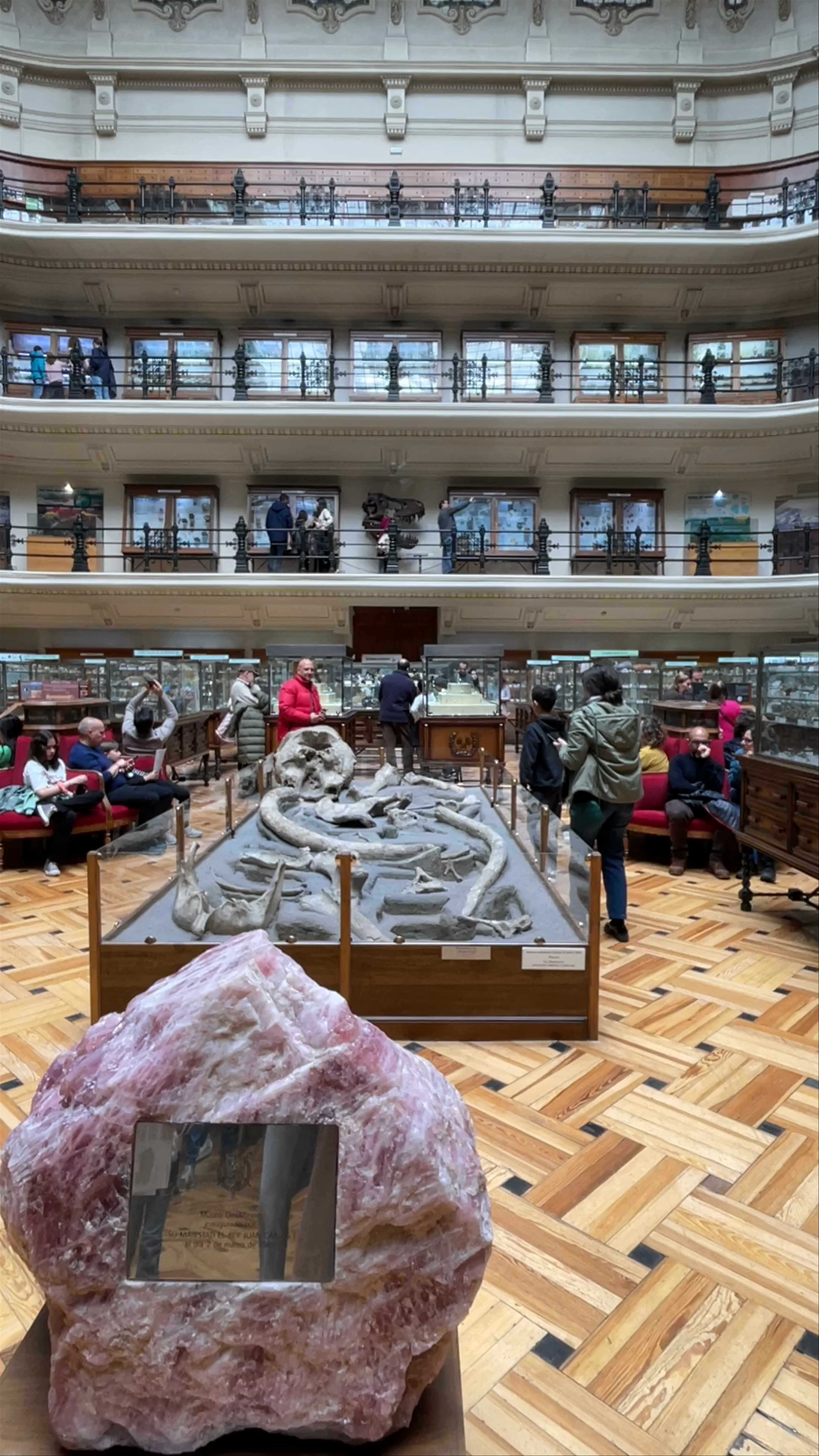 Museo Geominero: Journey Through Minerals and Fossils in Madrid