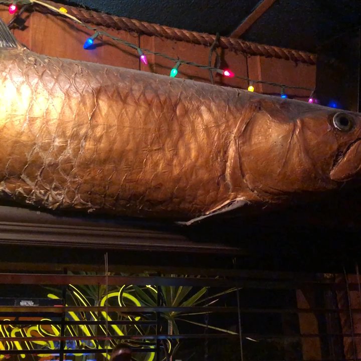 Seven Seas - Dive Bars Near Me - Miami, Florida