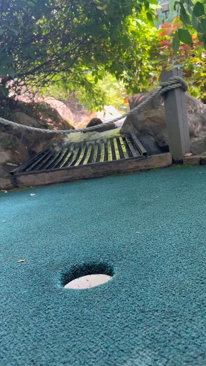 Oaks Miniature Golf - Mini Golf Near Me - Gainesville, Georgia