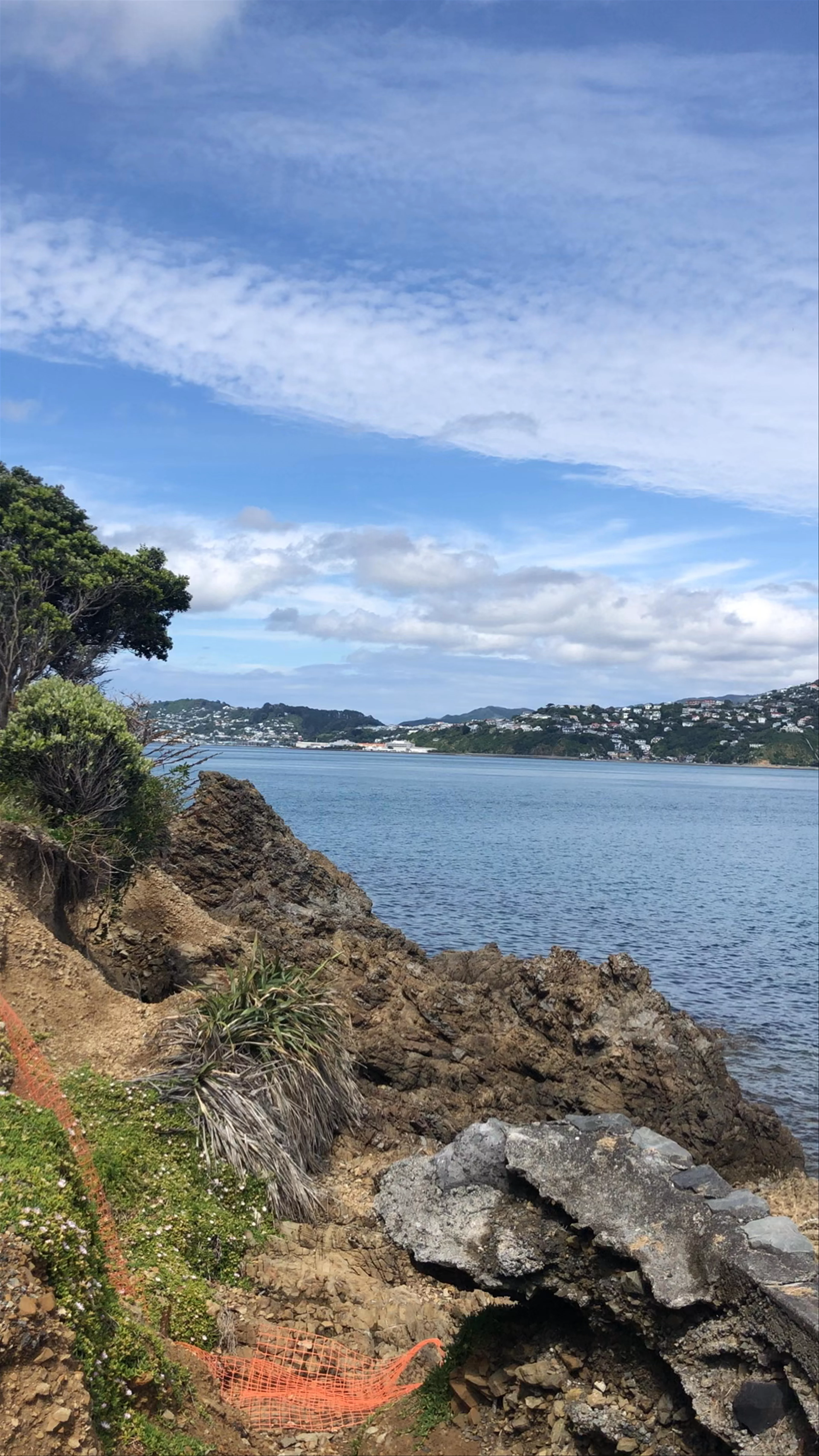 Maupuia Walkway