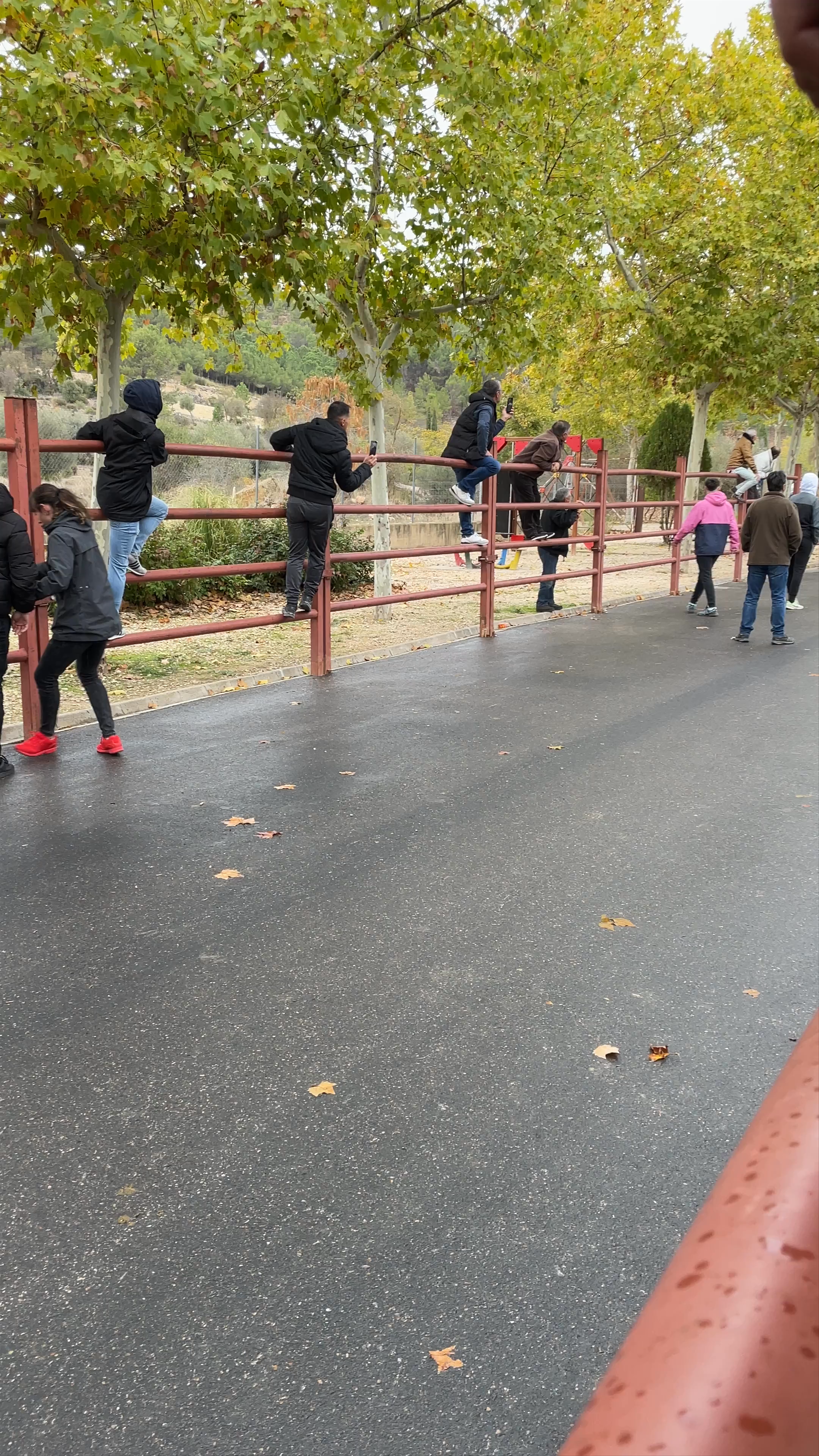 Plaza de Toros EL Rejal