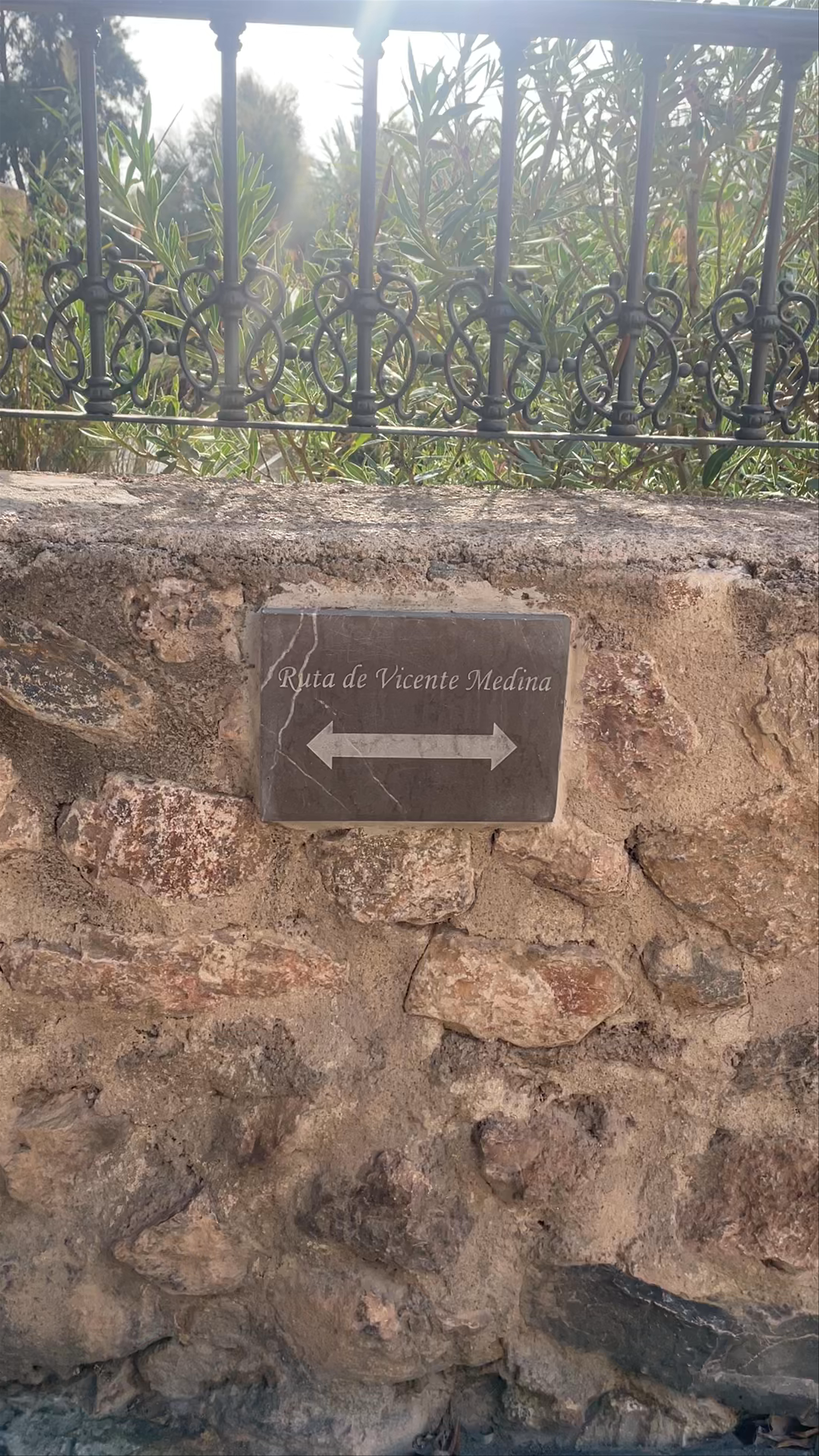 Ruta del poeta Vicente Medina