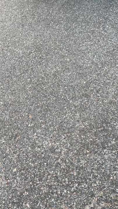 Posh Carts - Car Rental Near Me - Savannah, Georgia