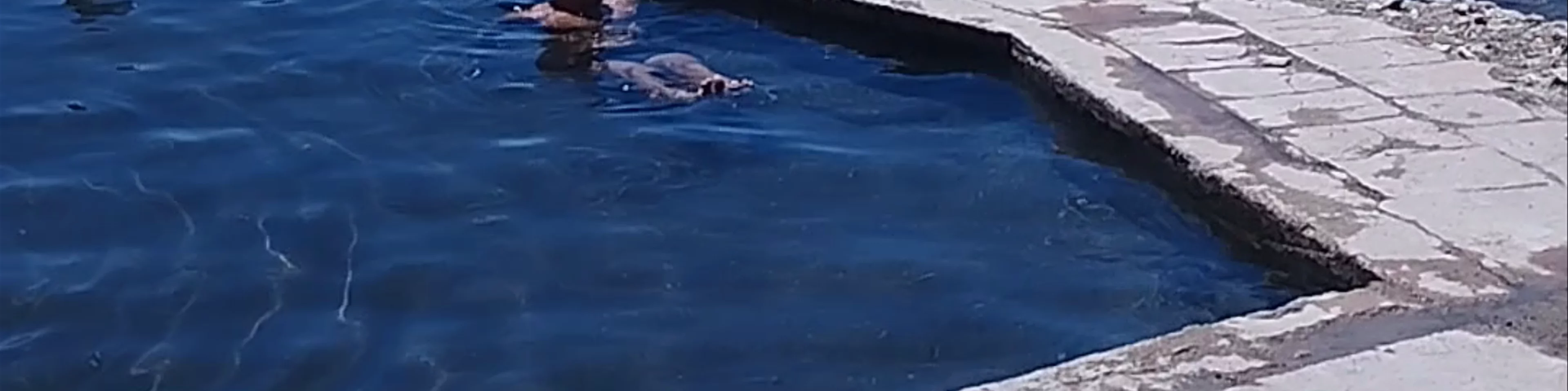 Termas de Polques