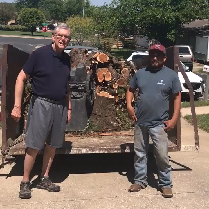 Prados Tree Service - Tree Services Near Me