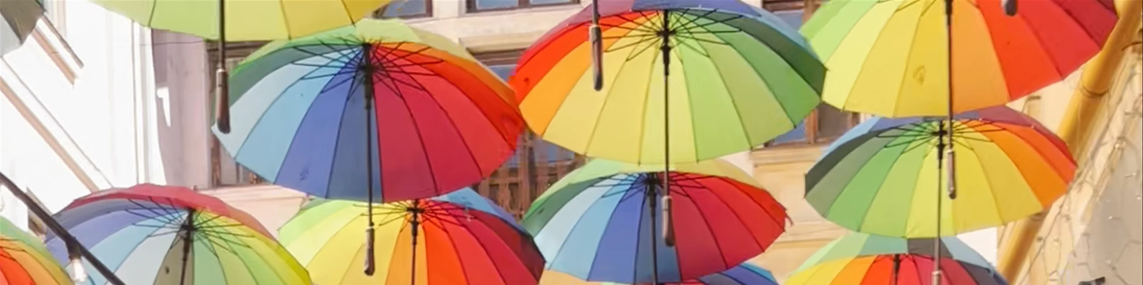 The Umbrella's Street