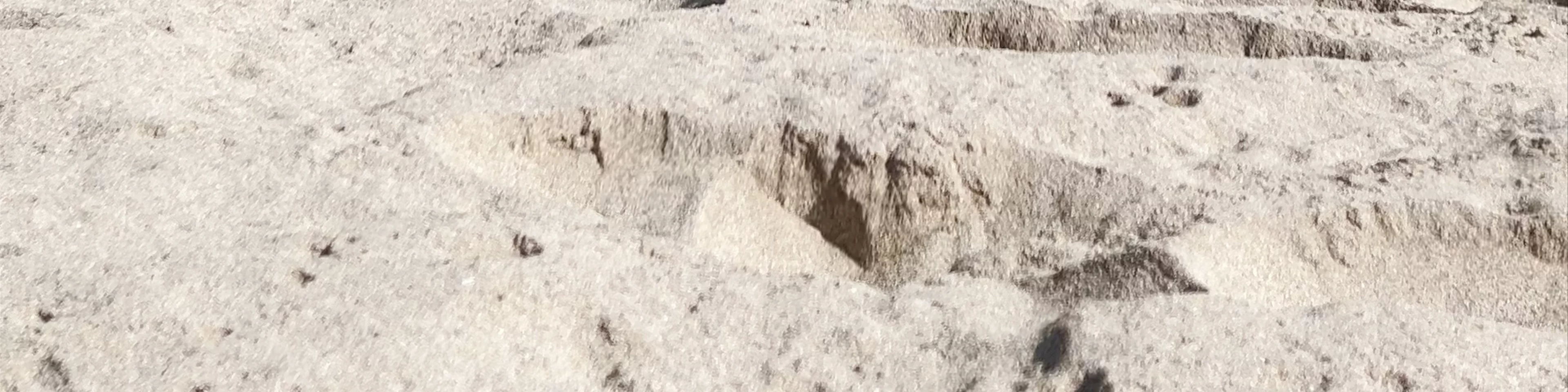 Playa Ñagué