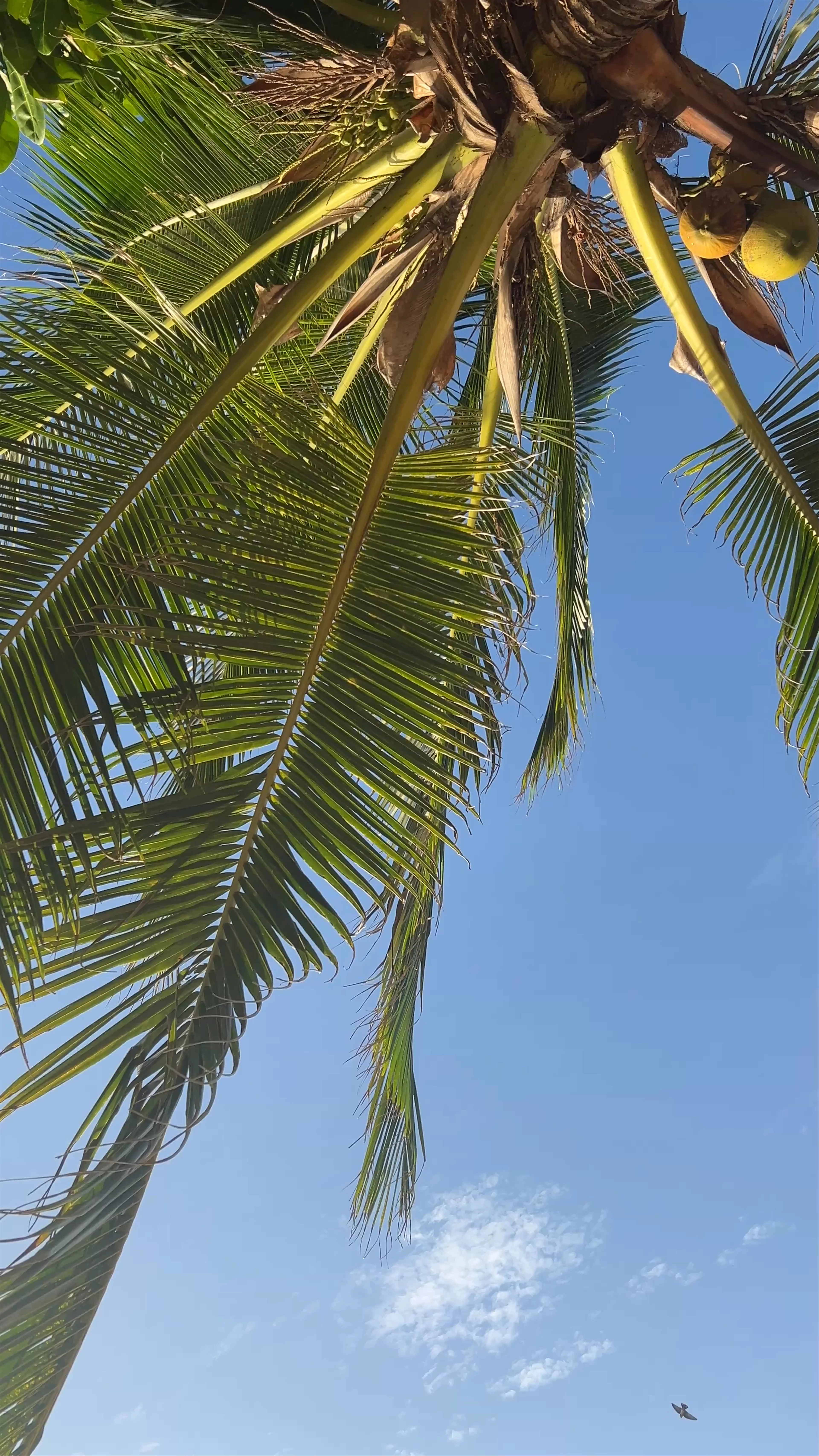 Lanta Paradise Beach Resort
