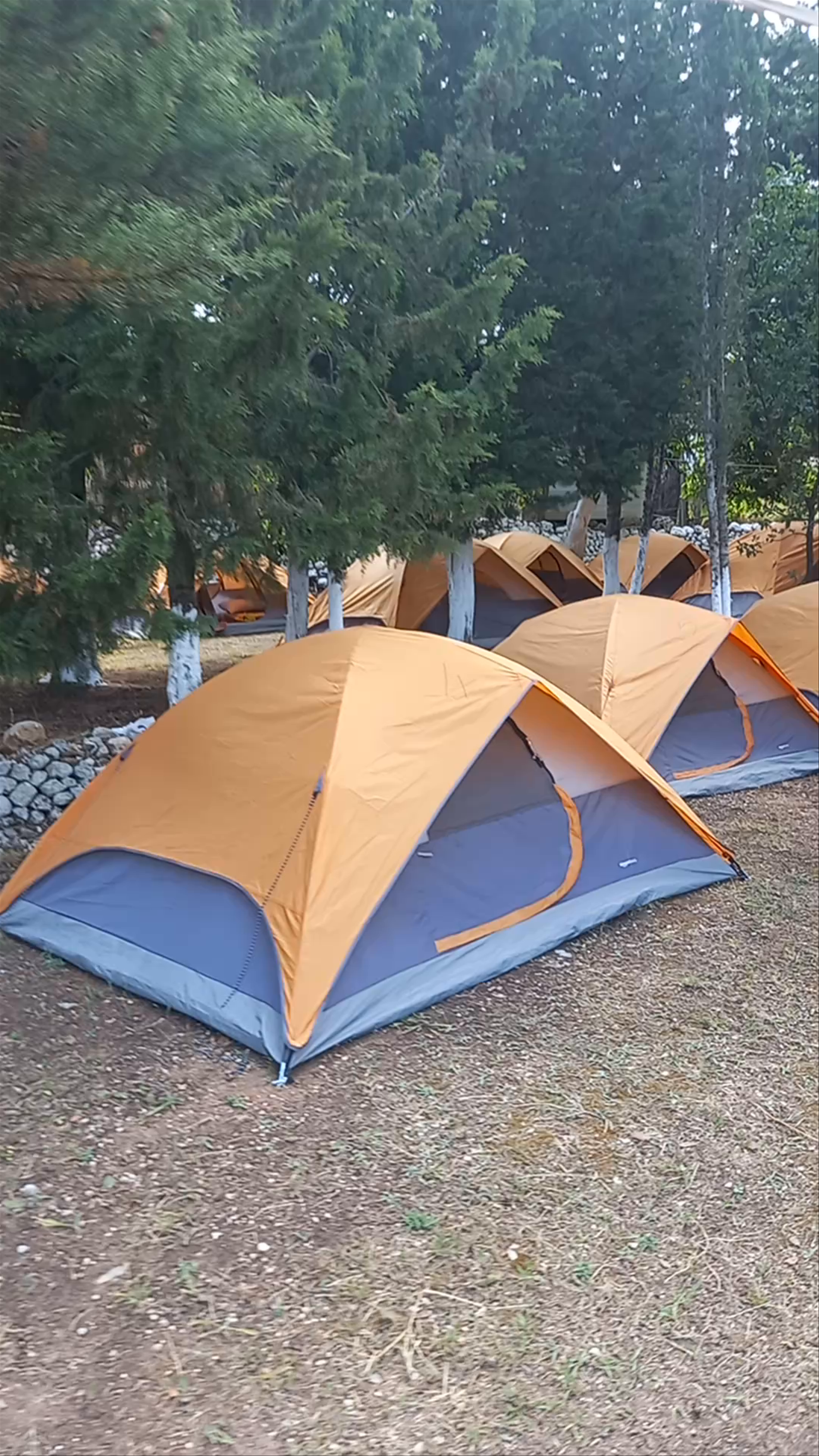 The Sea Turtle Camping Dhermi