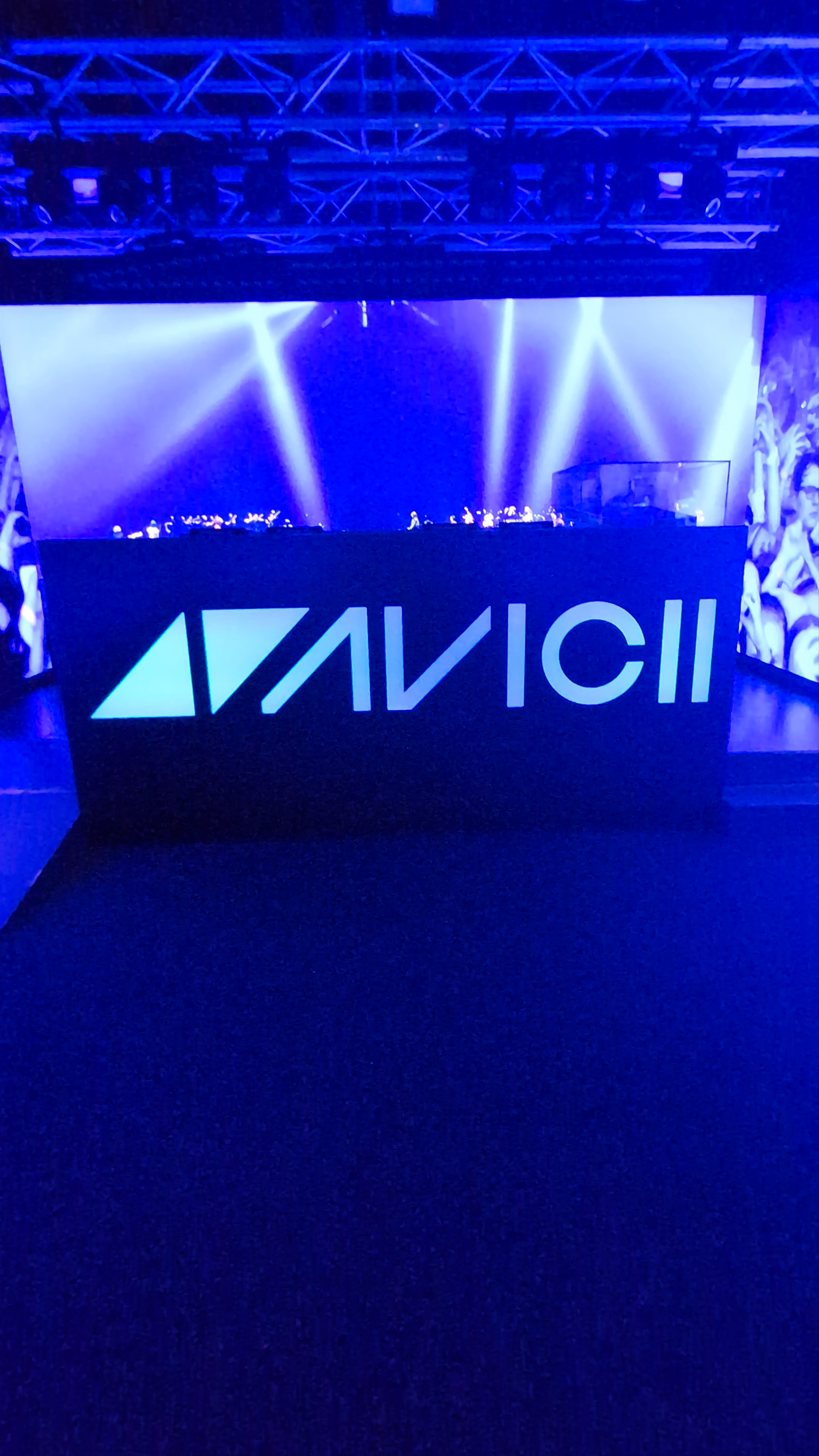 Avicii Experience