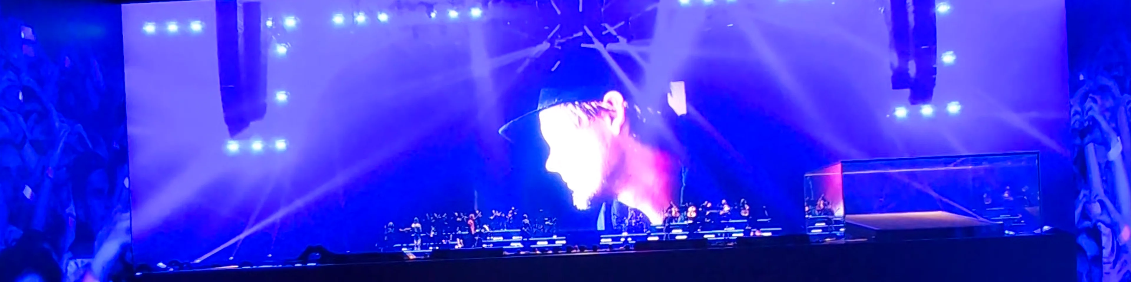 Avicii Experience