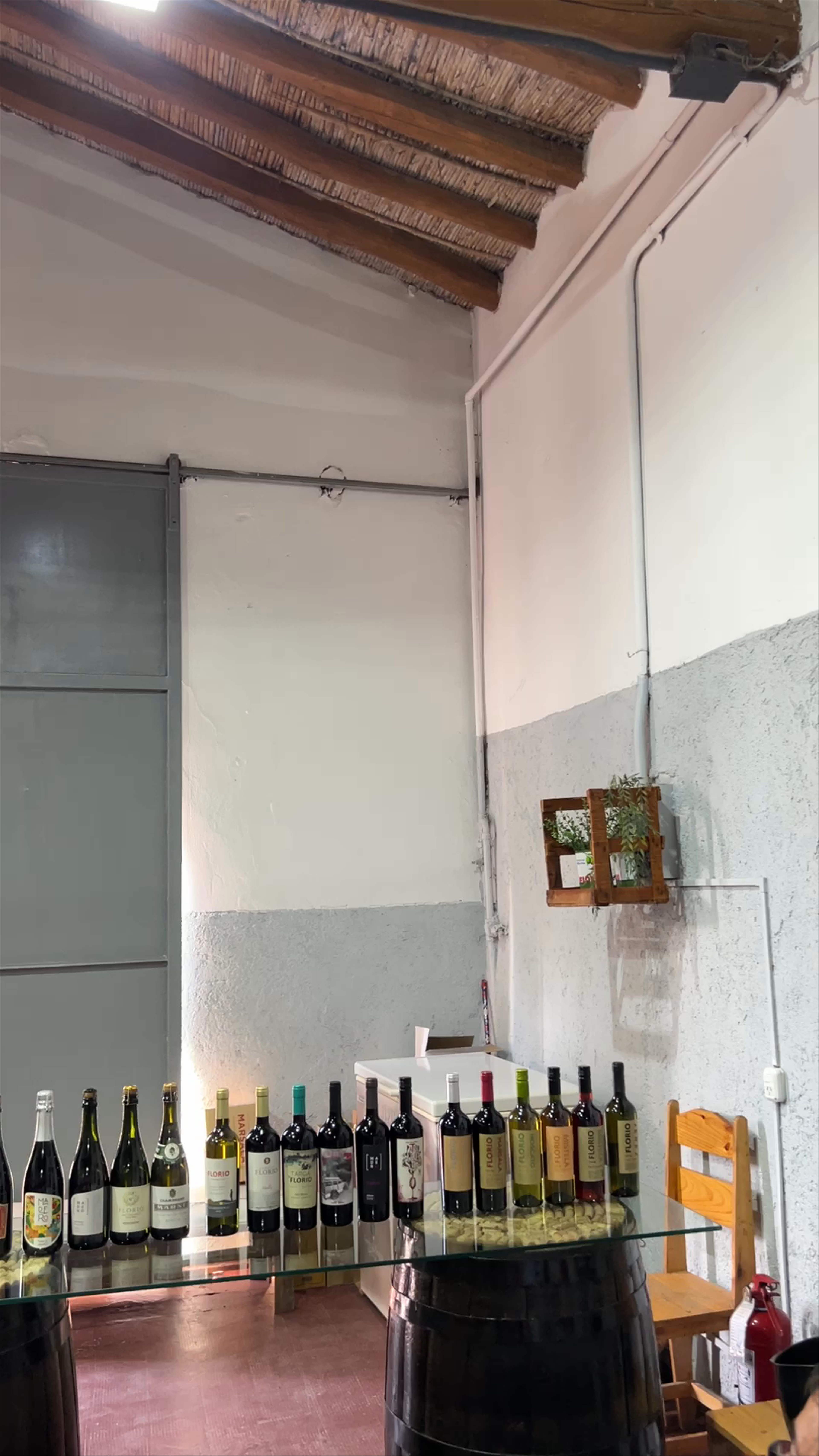 Bodega Florio Mendoza
