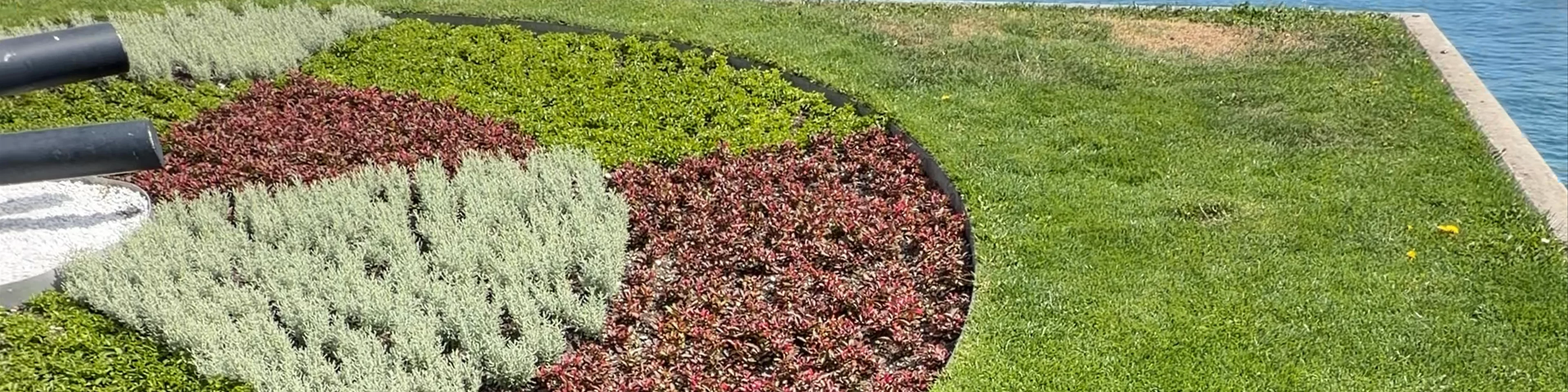 Blumenuhr