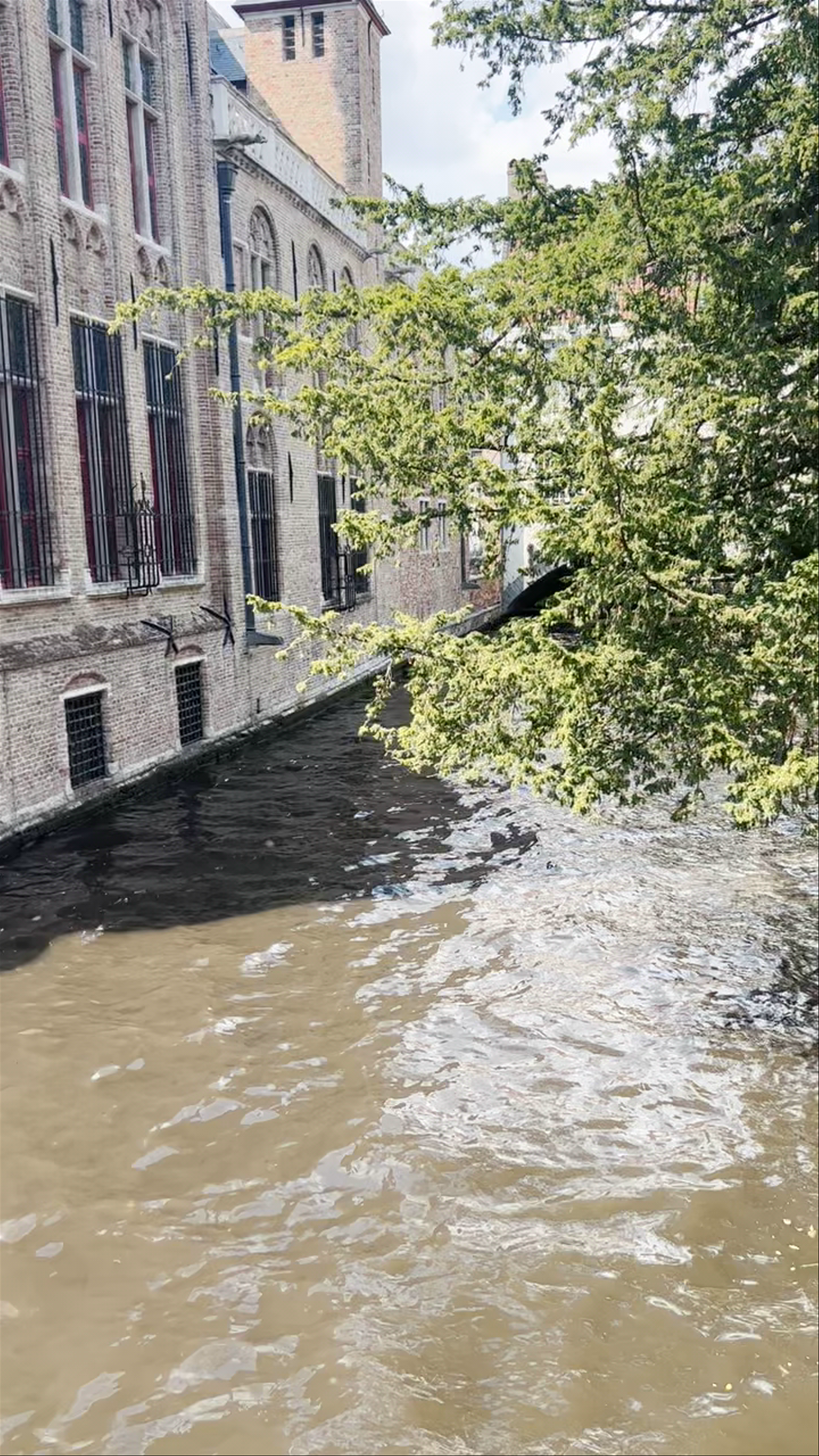 Bonifaciusbrug