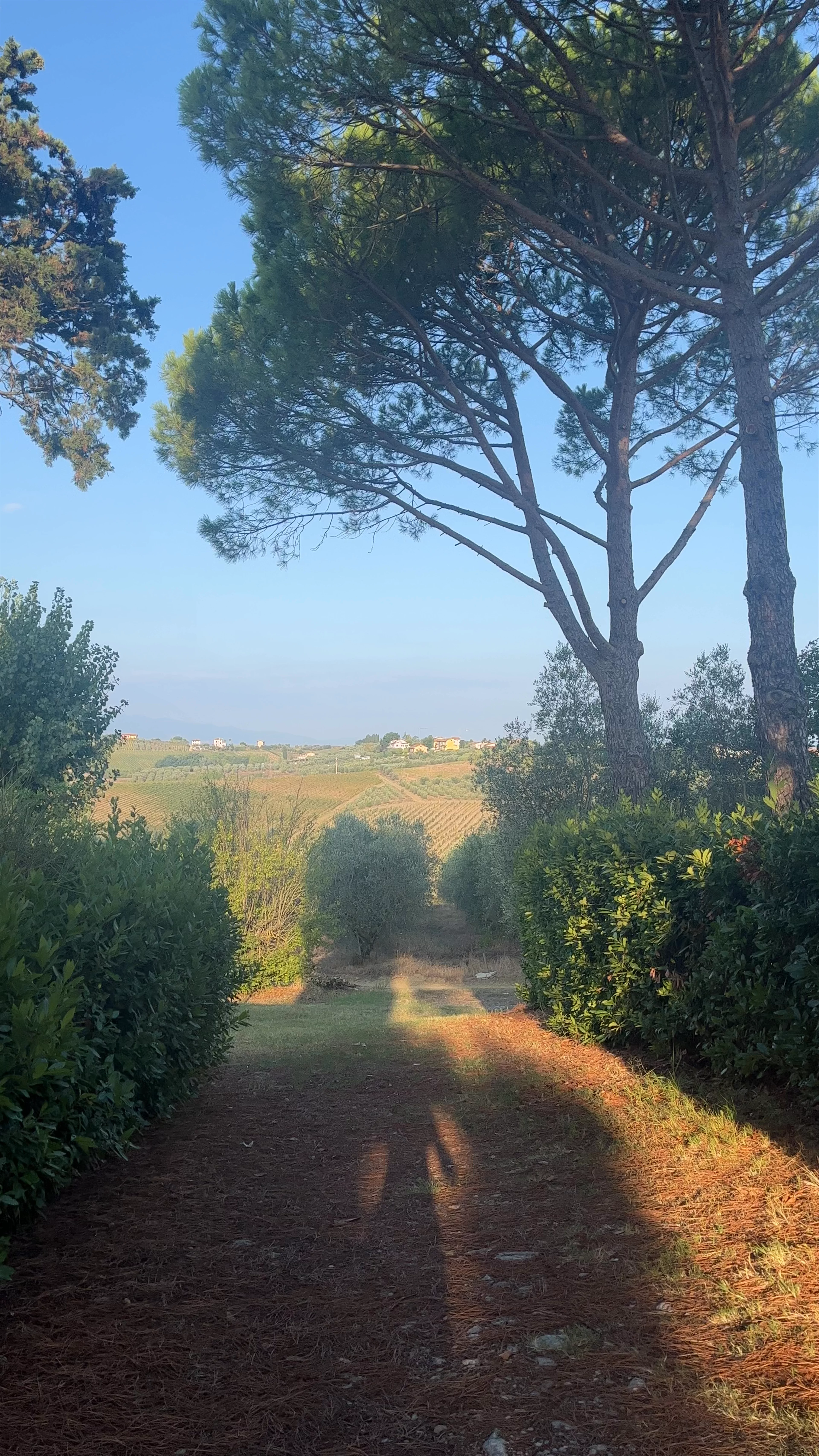Agriturismo Streda