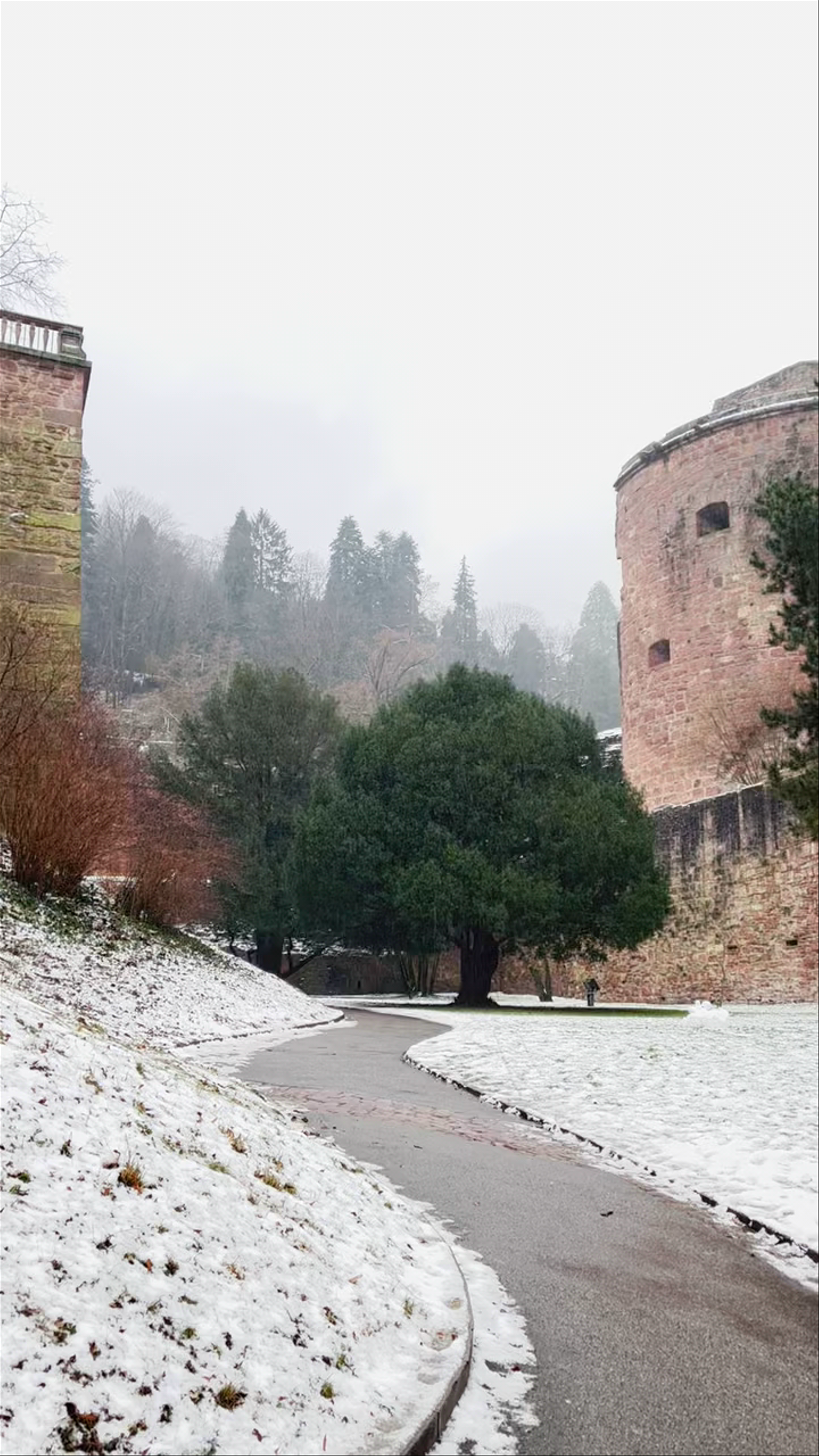 Heidelberg Castle