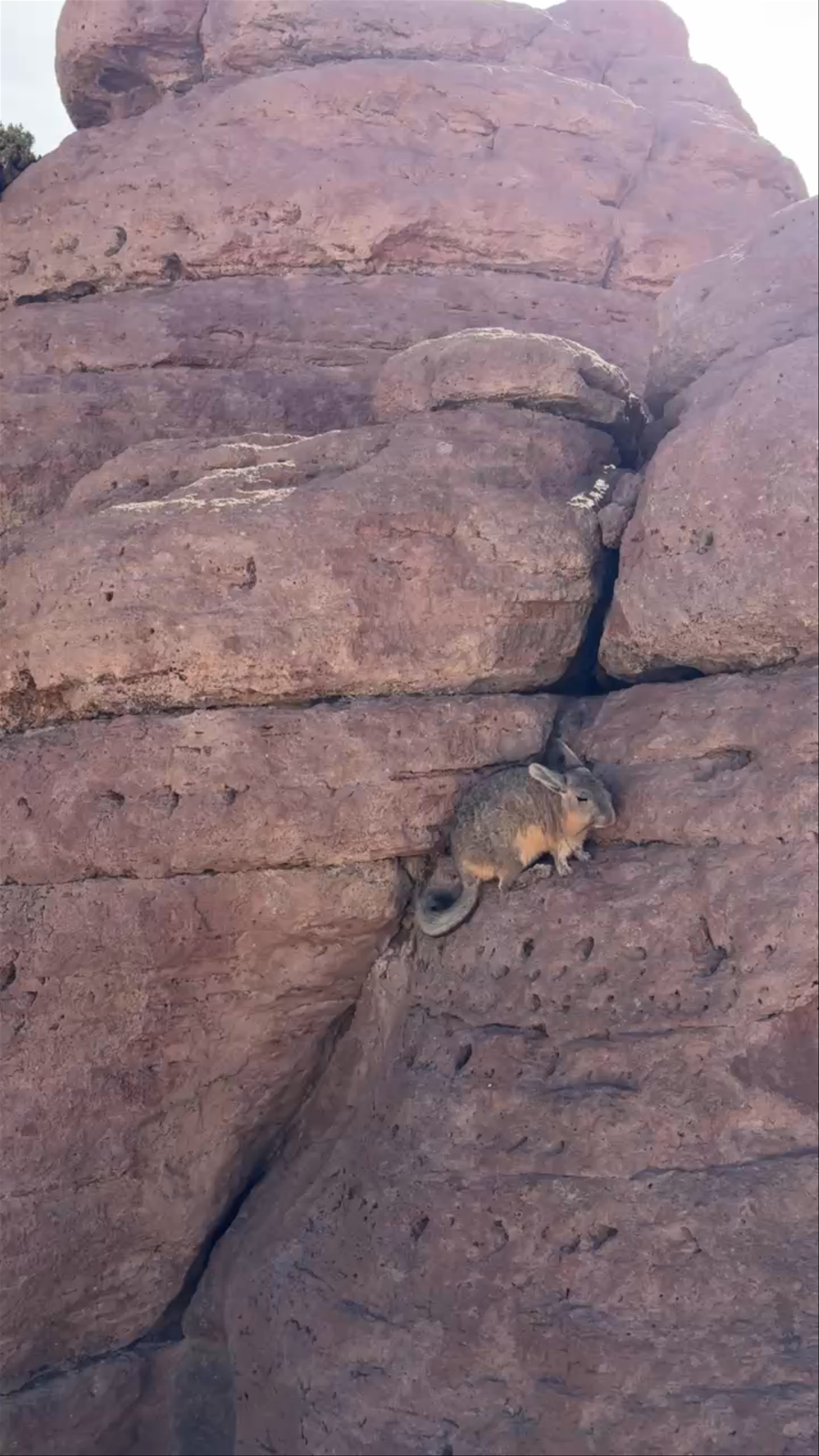 Cañón de las Vizcachas