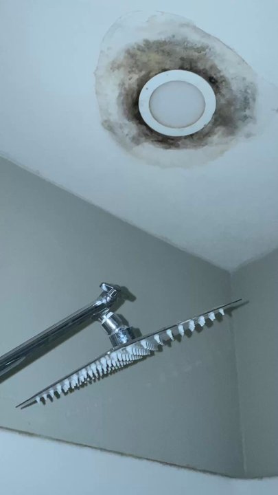 Summerview - 1 year later update. ceiling wasn't truly fixed. - Apartments Near Me - Modesto, California