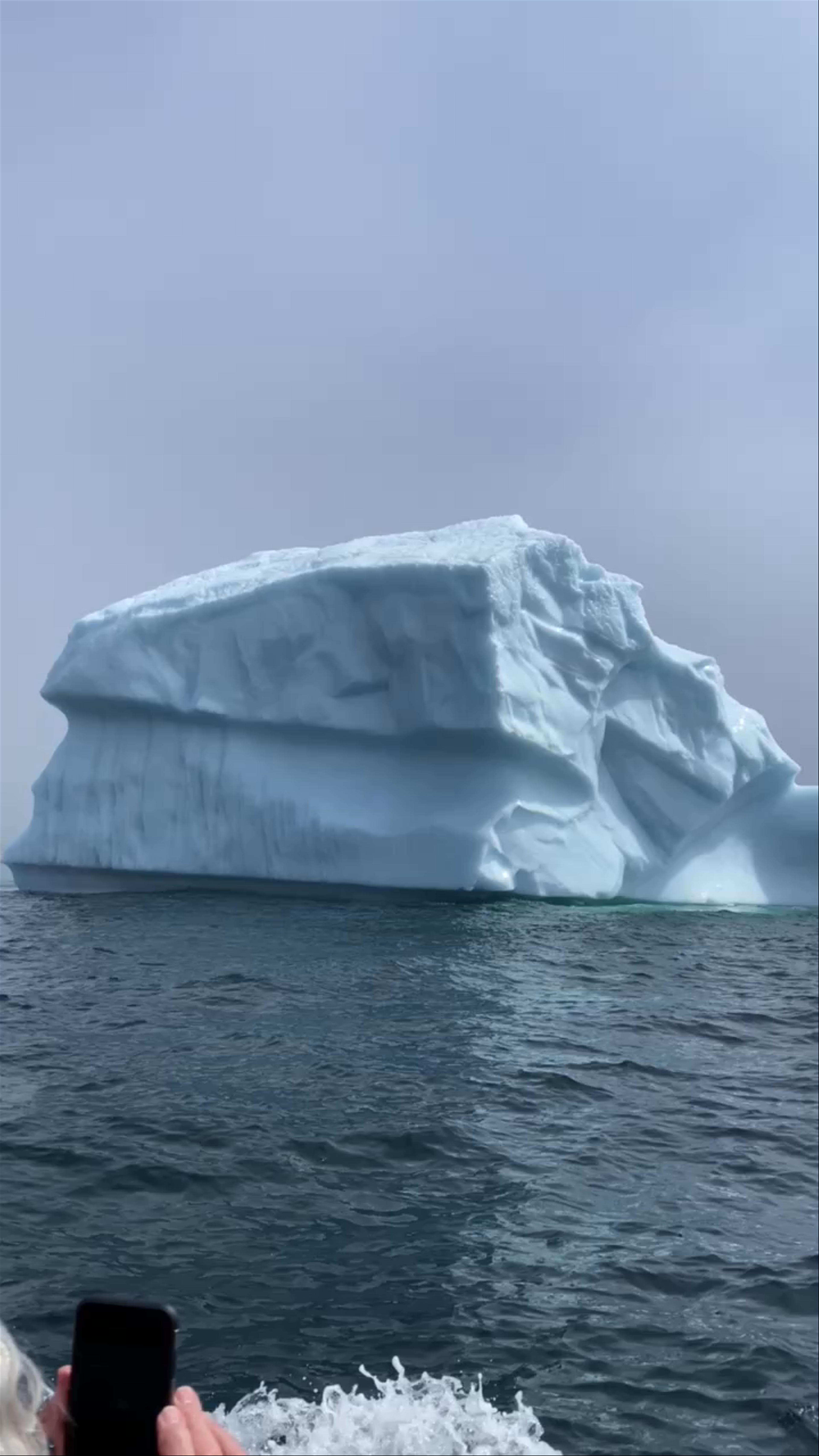 Sea of Whales Adventures