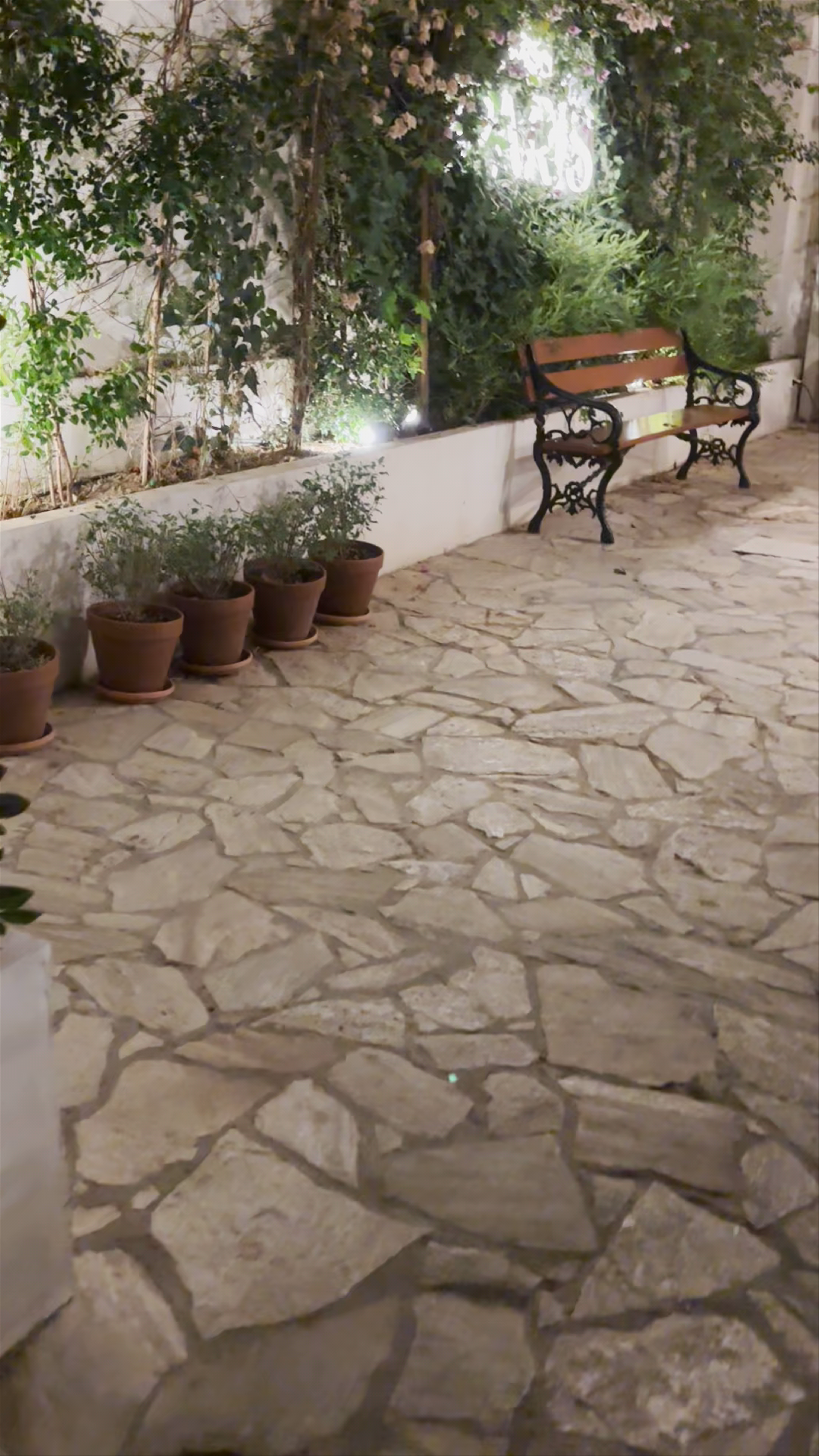 Charming Evening at Voltereta París, Sevilla