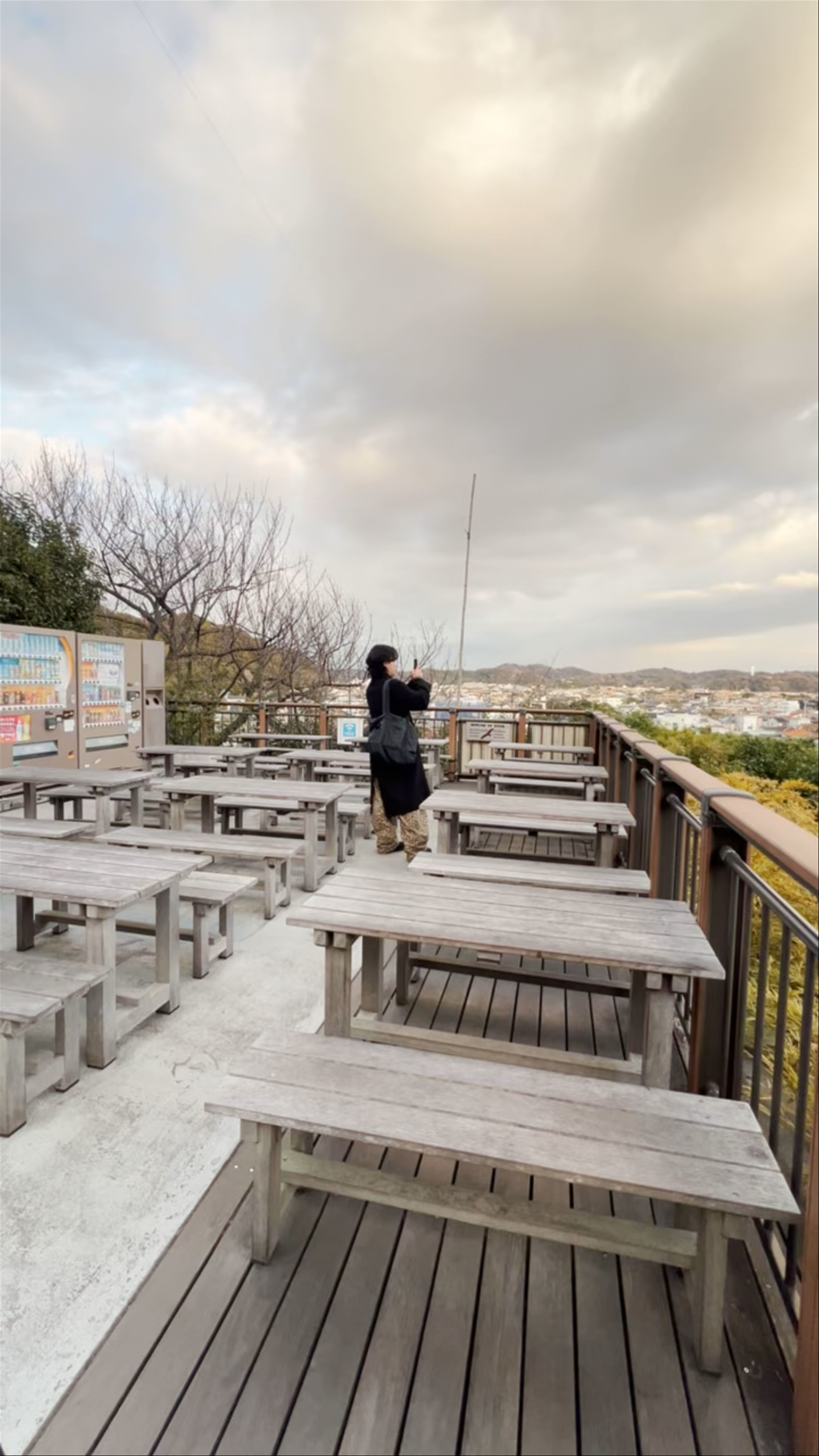 Hasedera